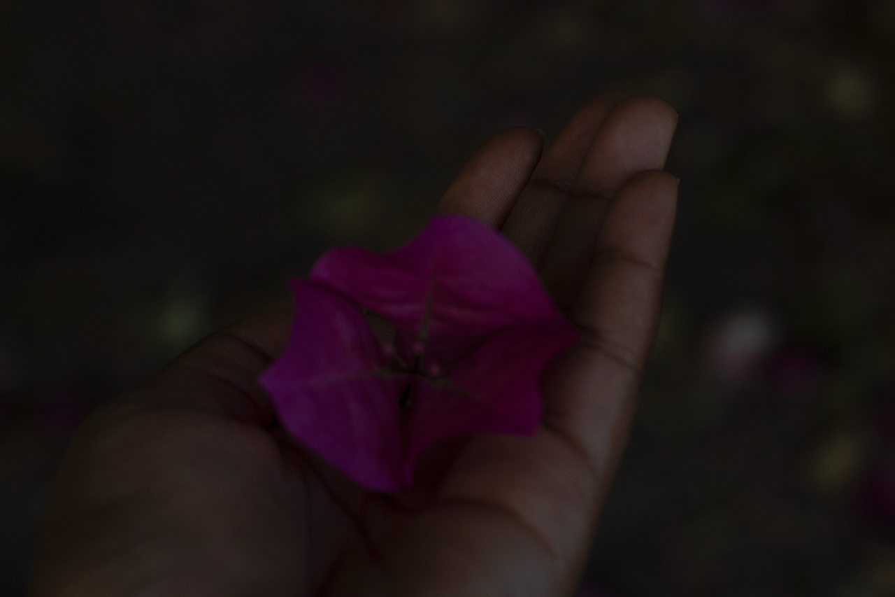 The Black Healing Resting Place is a seasonal initiative that offers access to an outdoor resting place for respite and leisure.