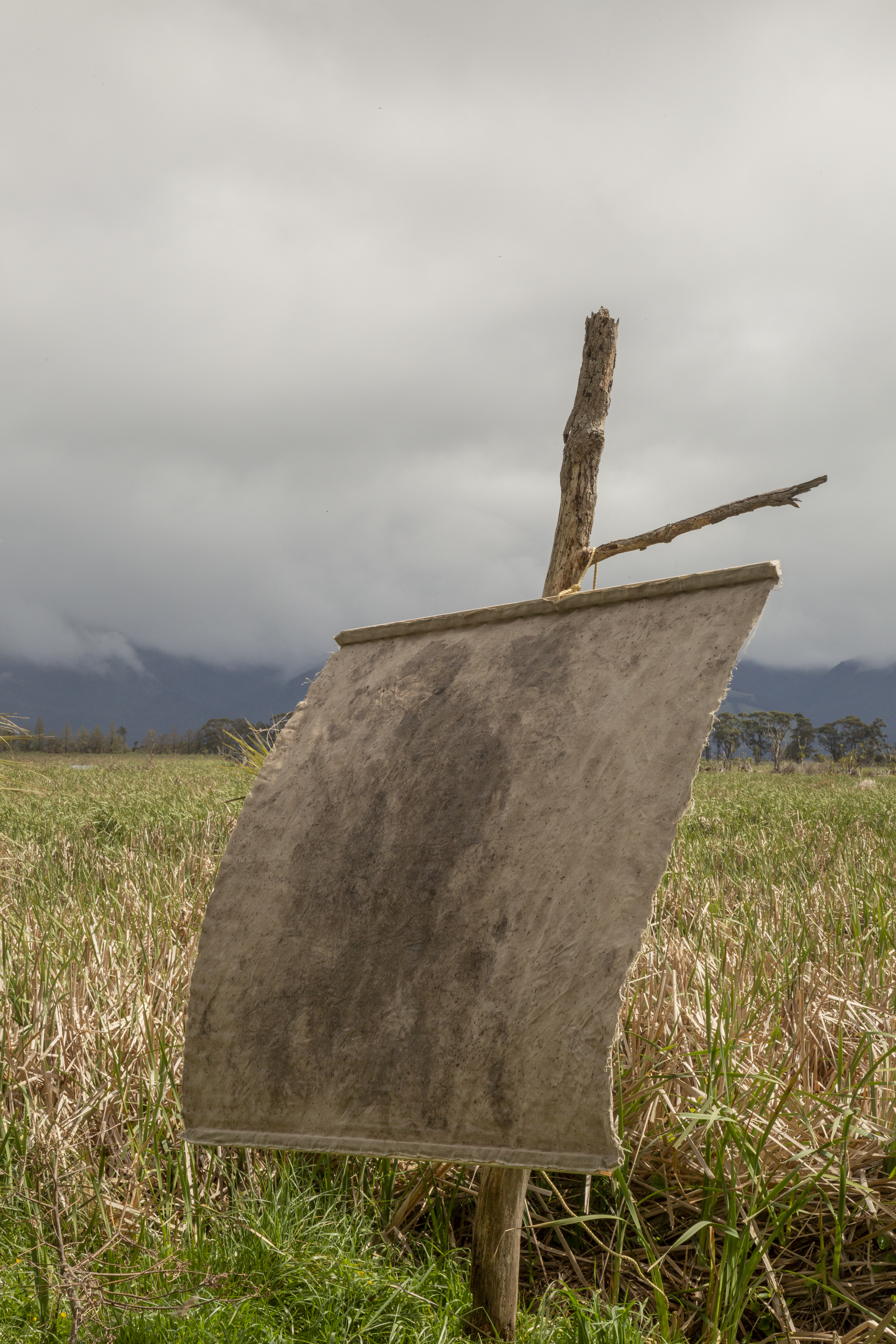 traces left behind and imprints silently borne installed at Boggy Pond, Wairarapa Moana