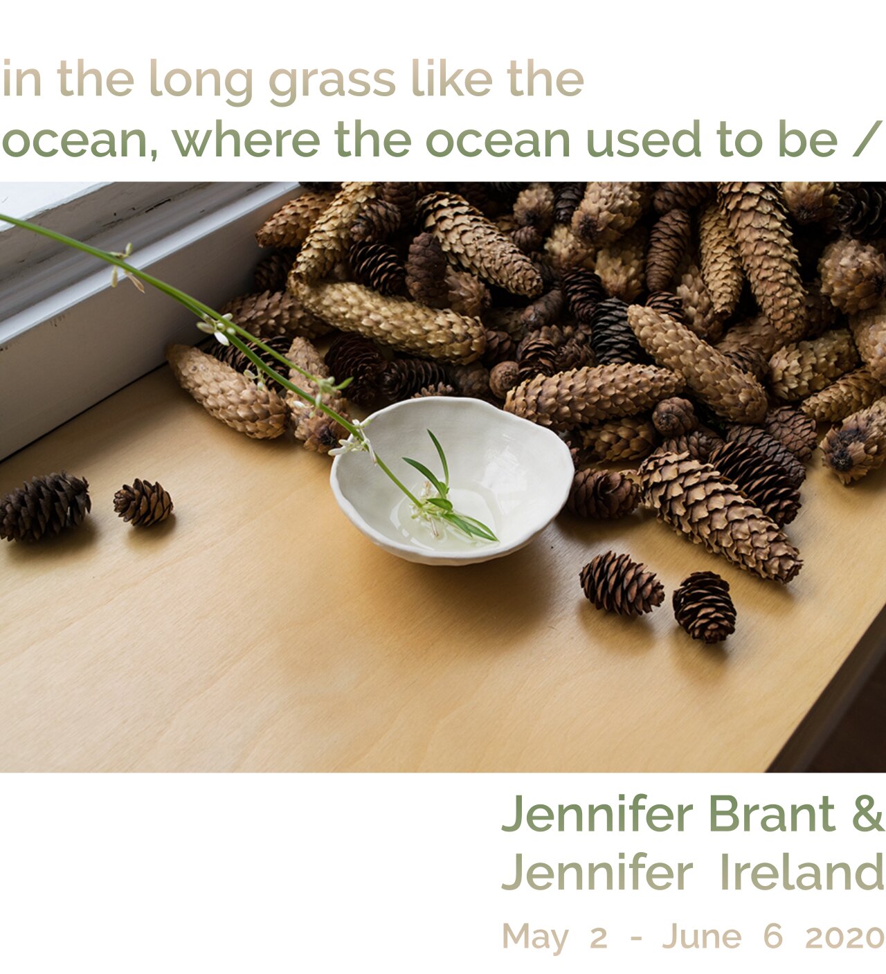 in the long grass like the ocean, where the ocean used to be, Jennifer Brant & Jennifer Ireland, May 2nd - June 6th 2020.