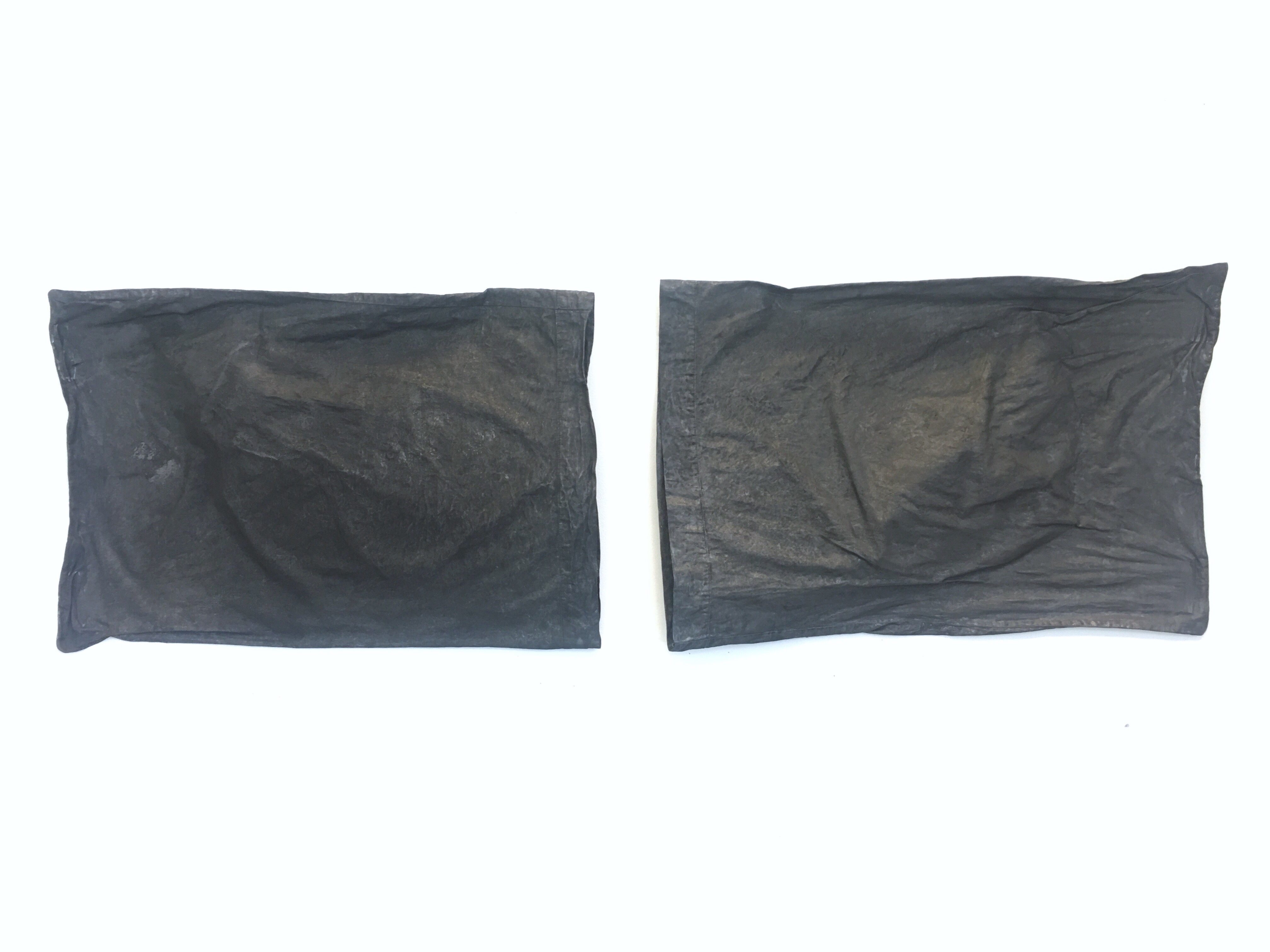 Drawing of Our Pillows (Your Pillow, My Pillow), 2019, your pillowcase, my pillowcase, latex paint, graphite, skin cells