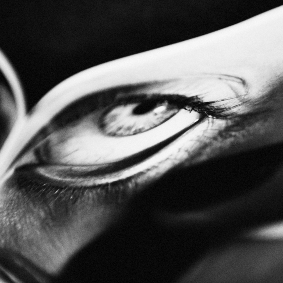 Sense t&iacute;tiol, 2013 