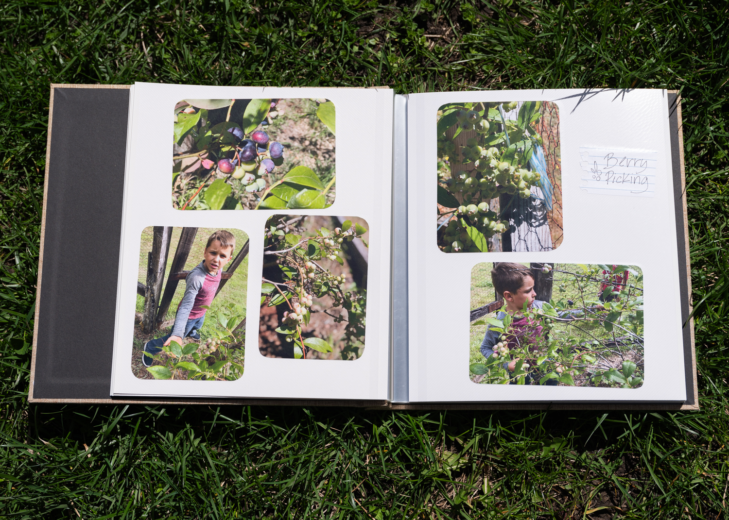 What brings depth to the collection is its history, one initially known only to those involved.