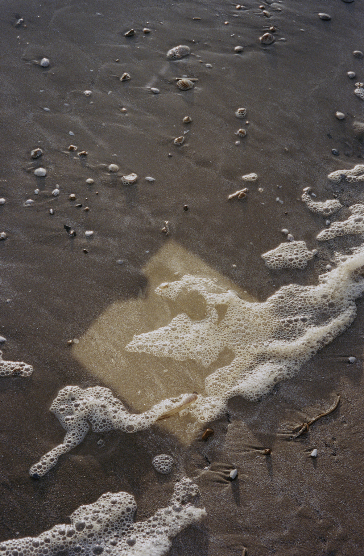 Chance Encounters. (6/8)