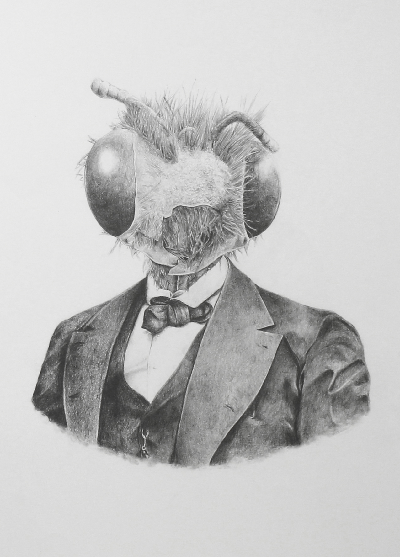 Specimen II. Graphite on paper, 64cm x 48cm, 2010