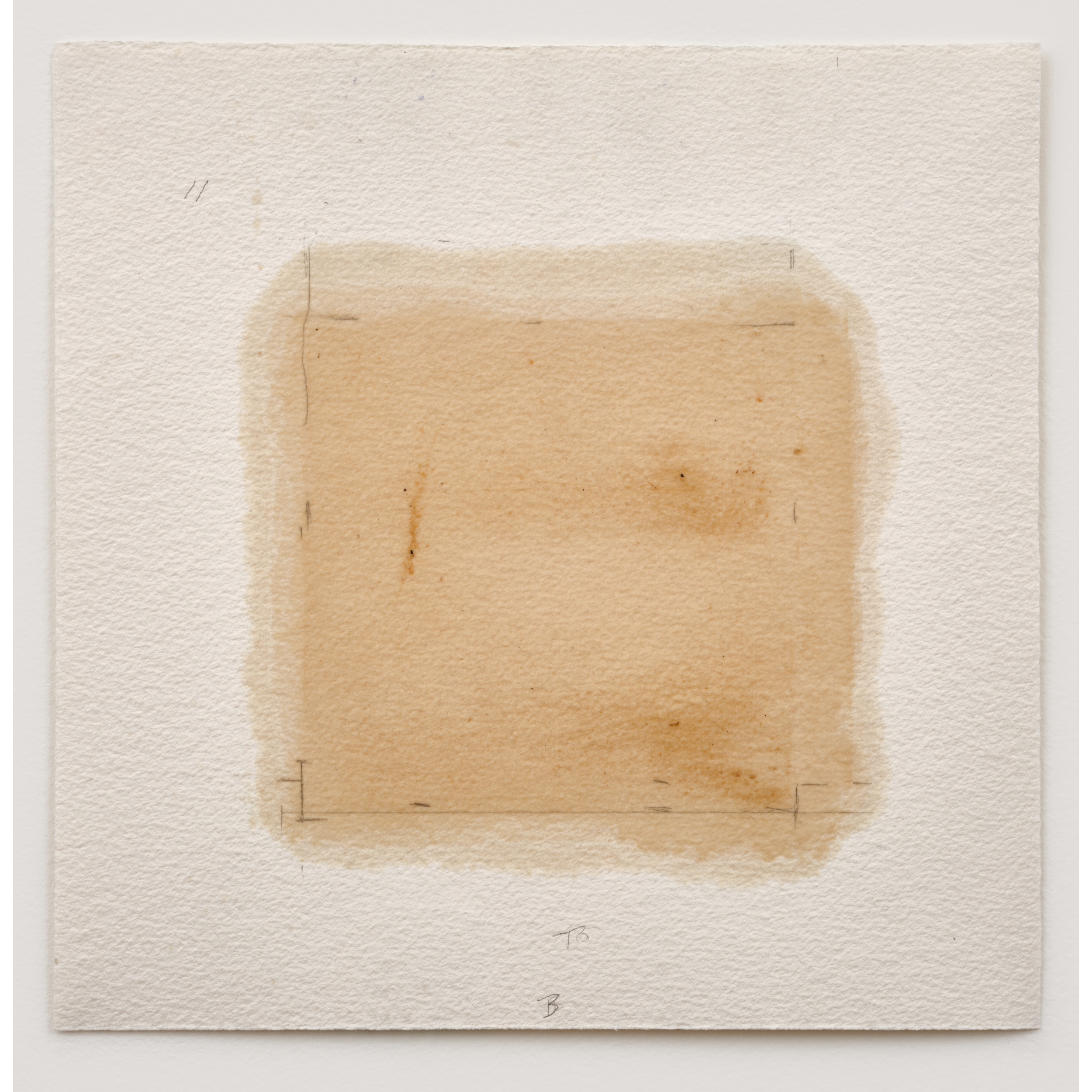 Bute Wax (B), 2025. 25.5 x 25.5 cm / 10 x 10 in. Schnarr's Bute Wax on paper. Collected by August Schnarr c.1920s. Photo: Rachel Topham Photography.