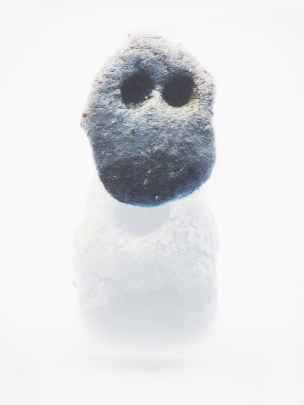 Tornà, 2016impression sur papier calque, installation140 x 180 cm