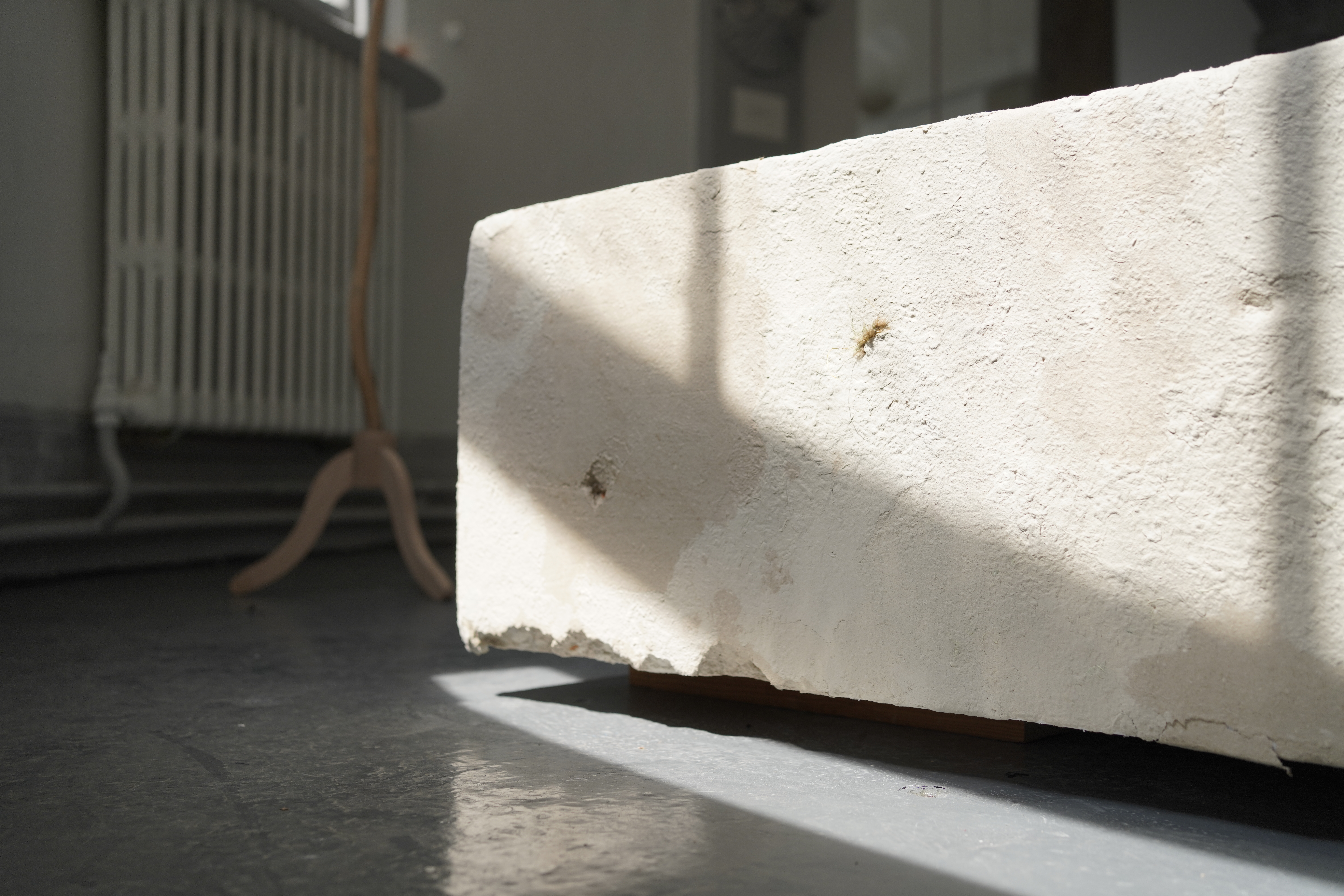 Photo credits Thea Wang