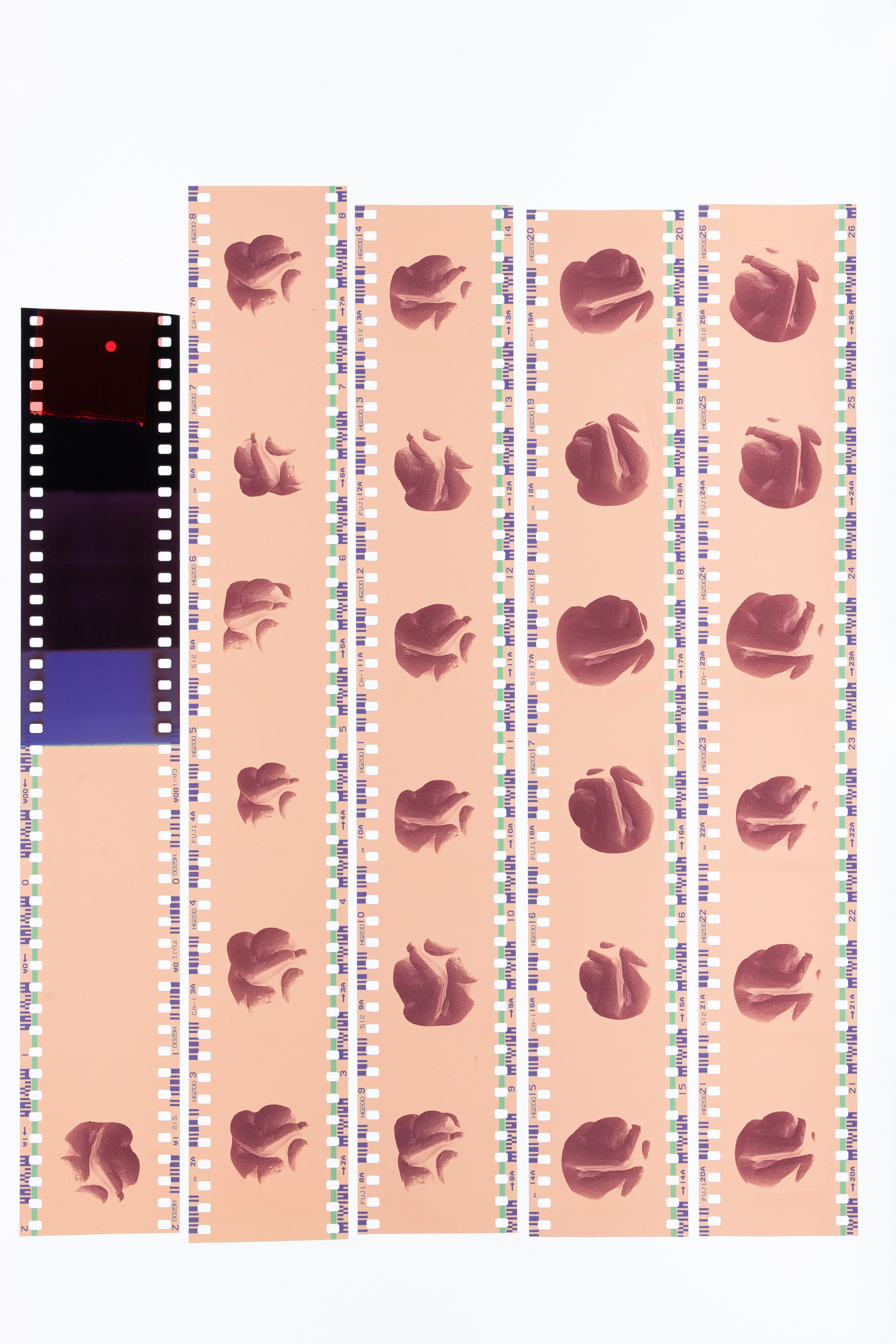 Dad's archive, Digitized in Bordeaux, France, August 2023.