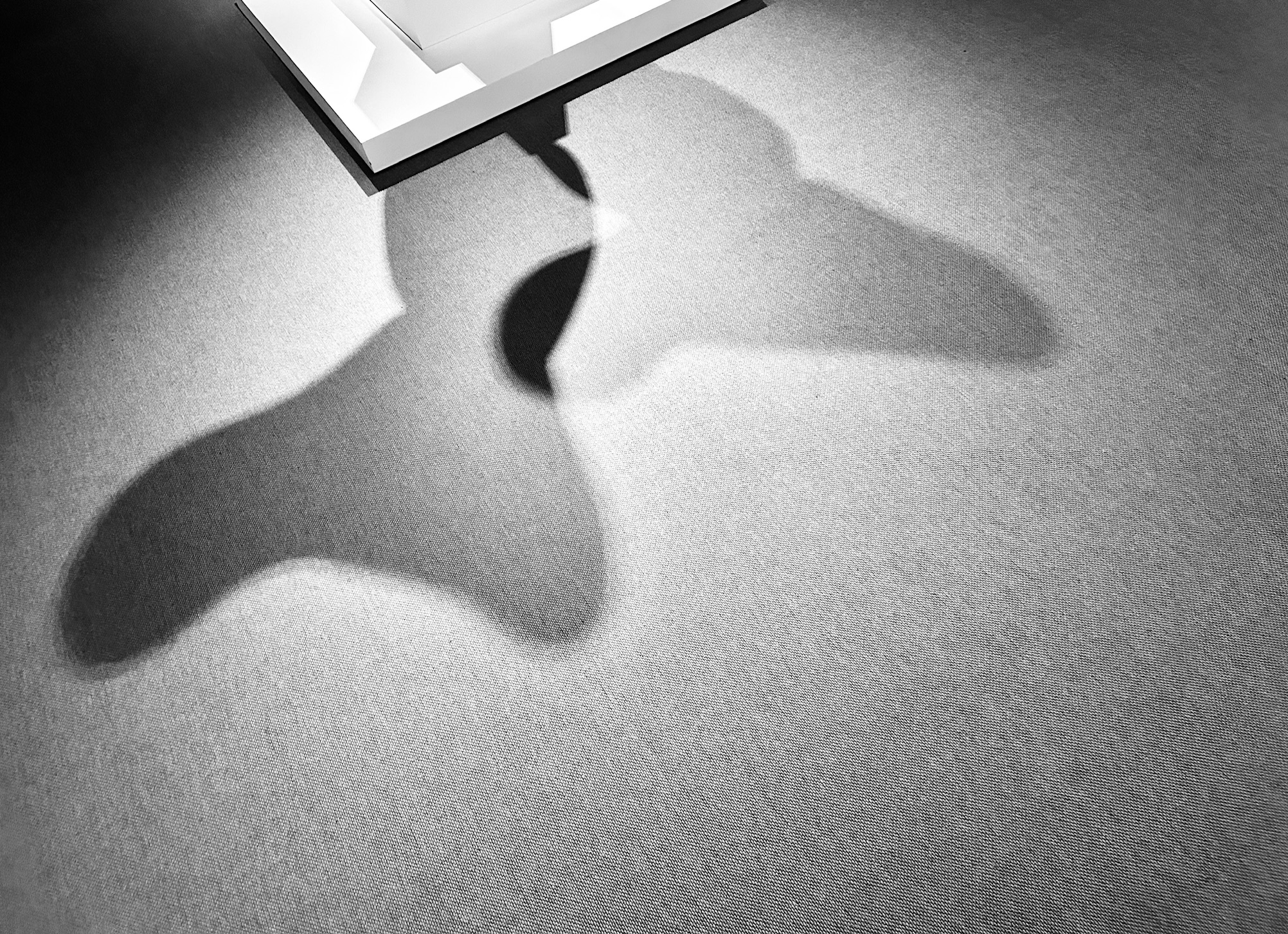 shadow work