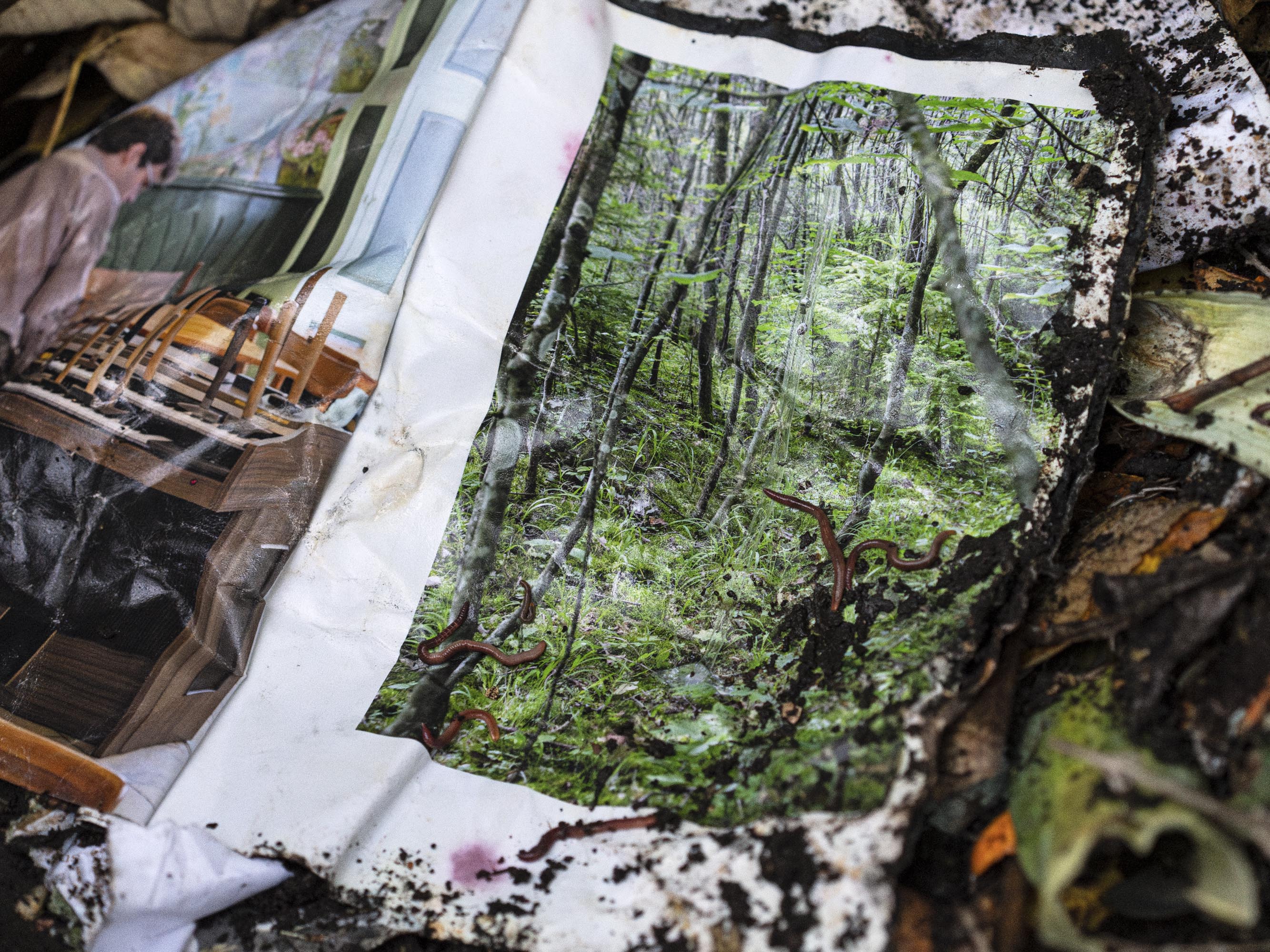 Photo: Raphael Stucky