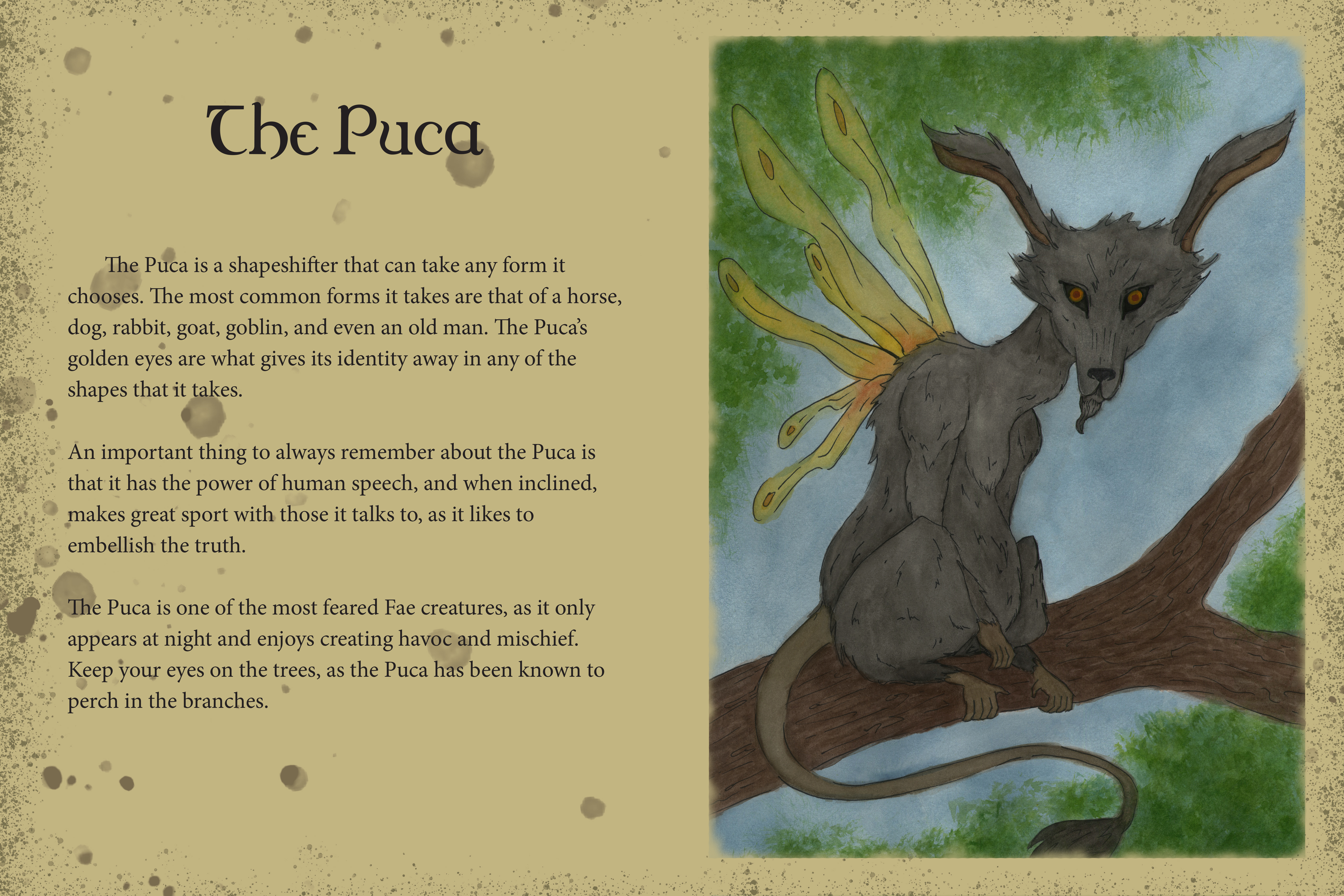 PucaWatercolor and ink pen, 12x18 inches, 2023