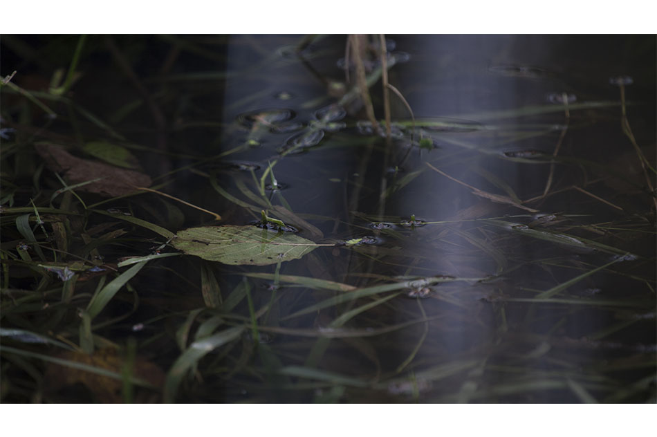 Nicolás RupcichDer Tod der Sonne, 2015 Video9’ 10’’