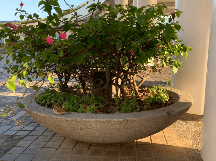 POT 16:48 TSIM SHA TSUI