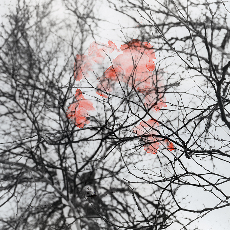 °01, 2015 : Épreuve à la gélatine argentique & aquarelle / Silver gelatin print watercolor, 11 x 14 '' (9 x 9 ")