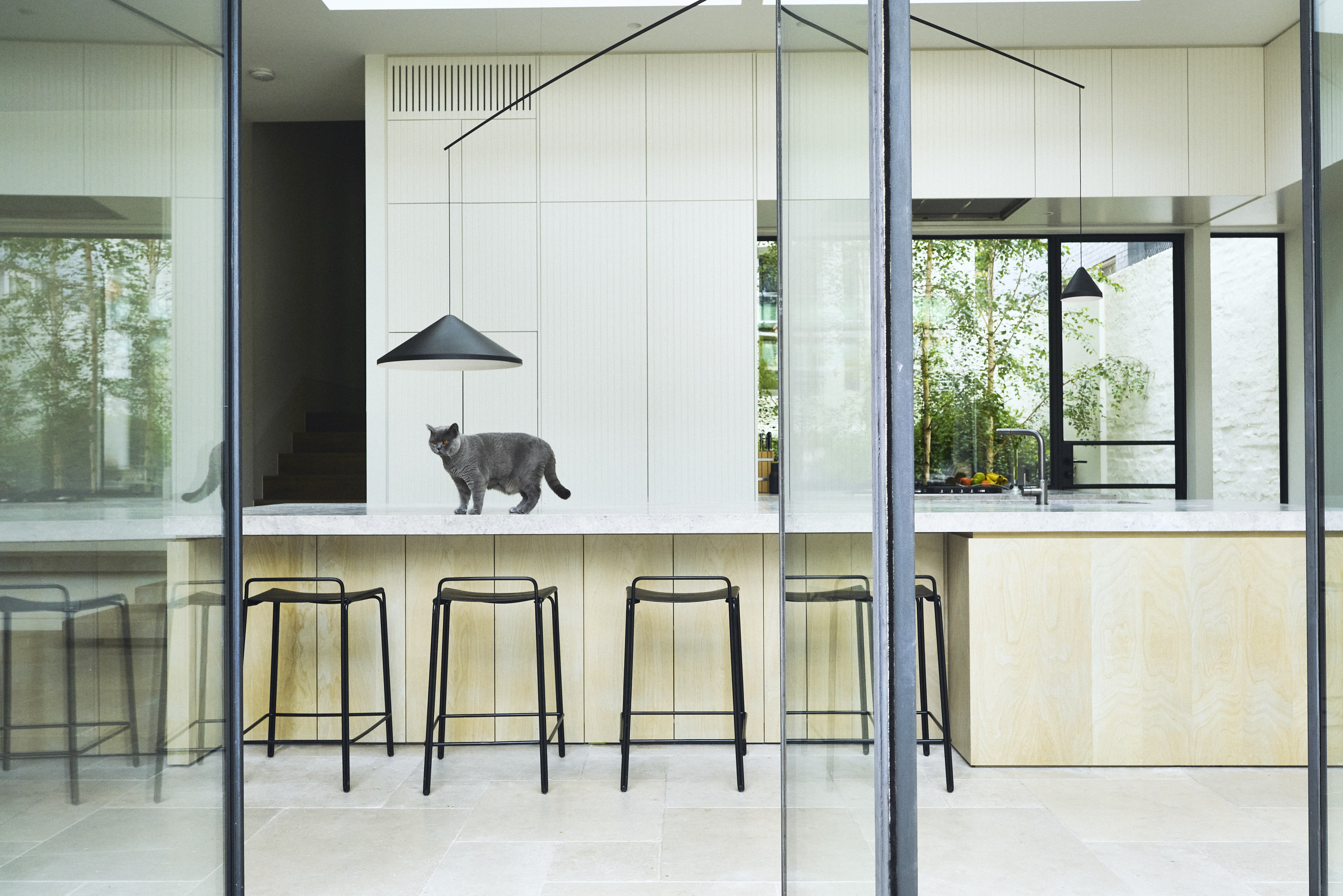 Where They Purr, Cat Winston