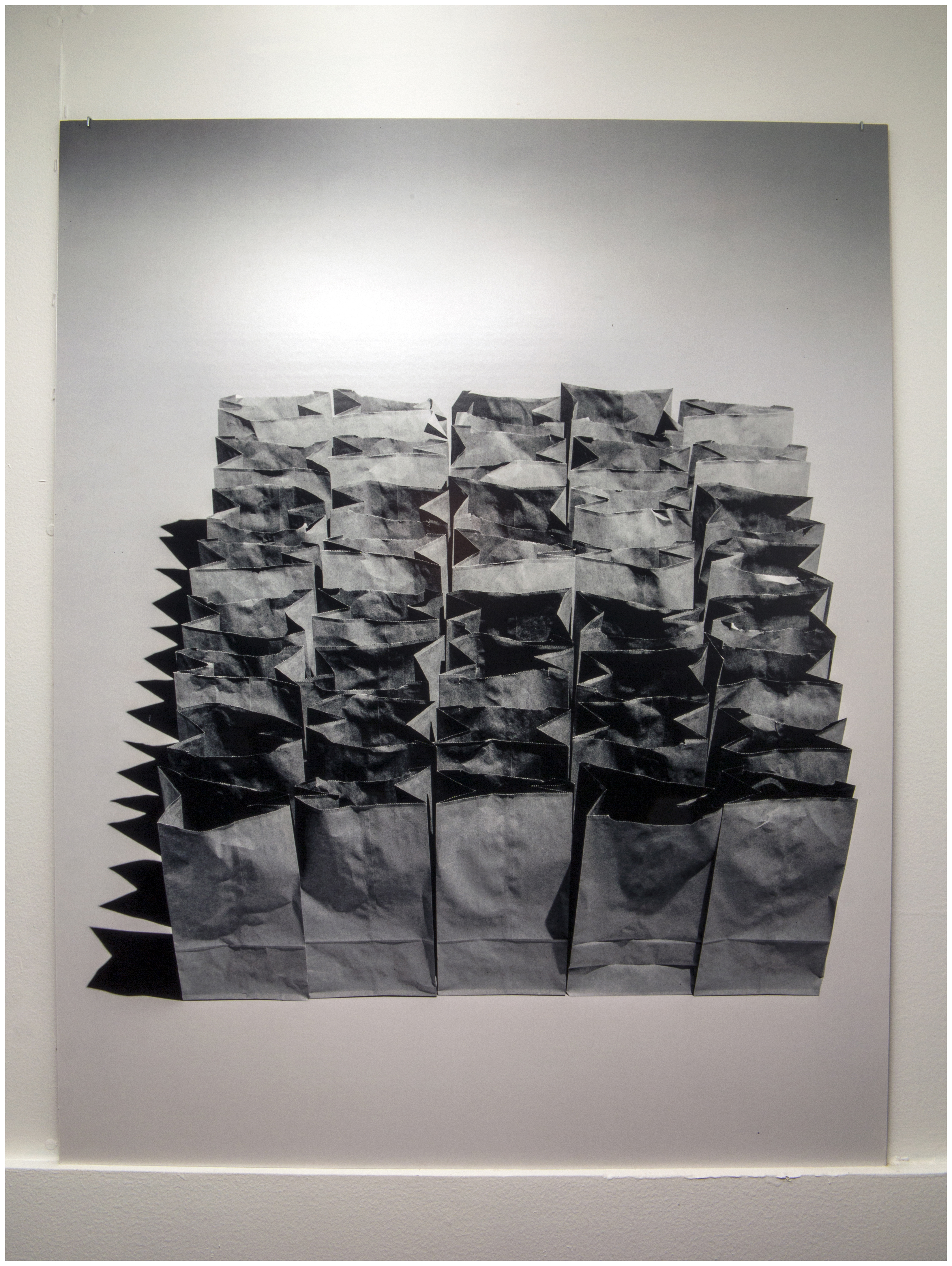 Customers Bagged Their Own Groceries (installation view), 2015Luster inkjet paper, gator board, square bend screw hooks29.188 x 36.813 x .25 in.74.14 x 93.51 x .64 cm