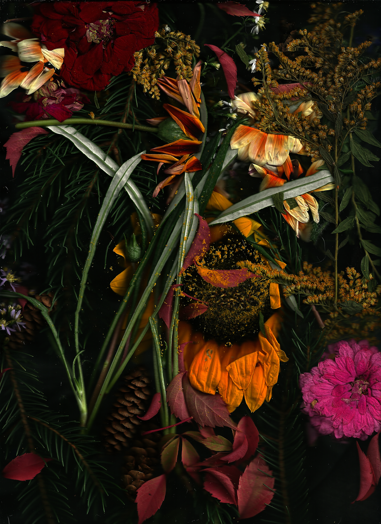 flowers and golden rod from my garden 2020