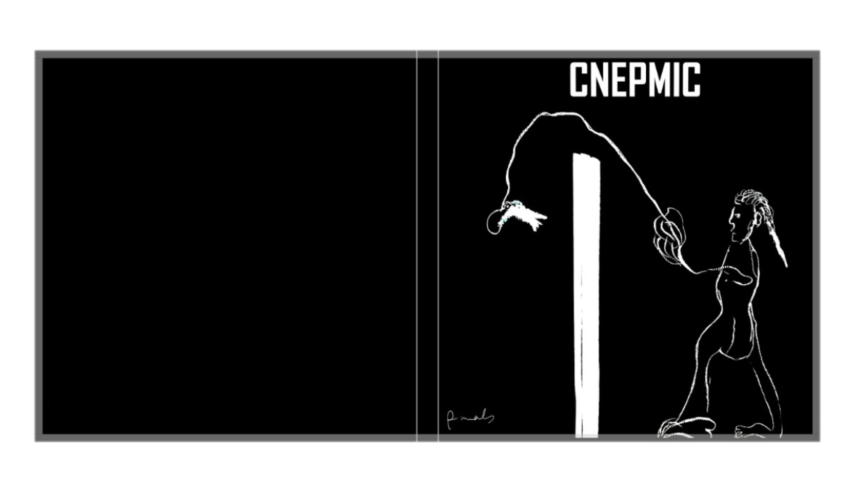 CNEPMIC, 2025, 144 pages