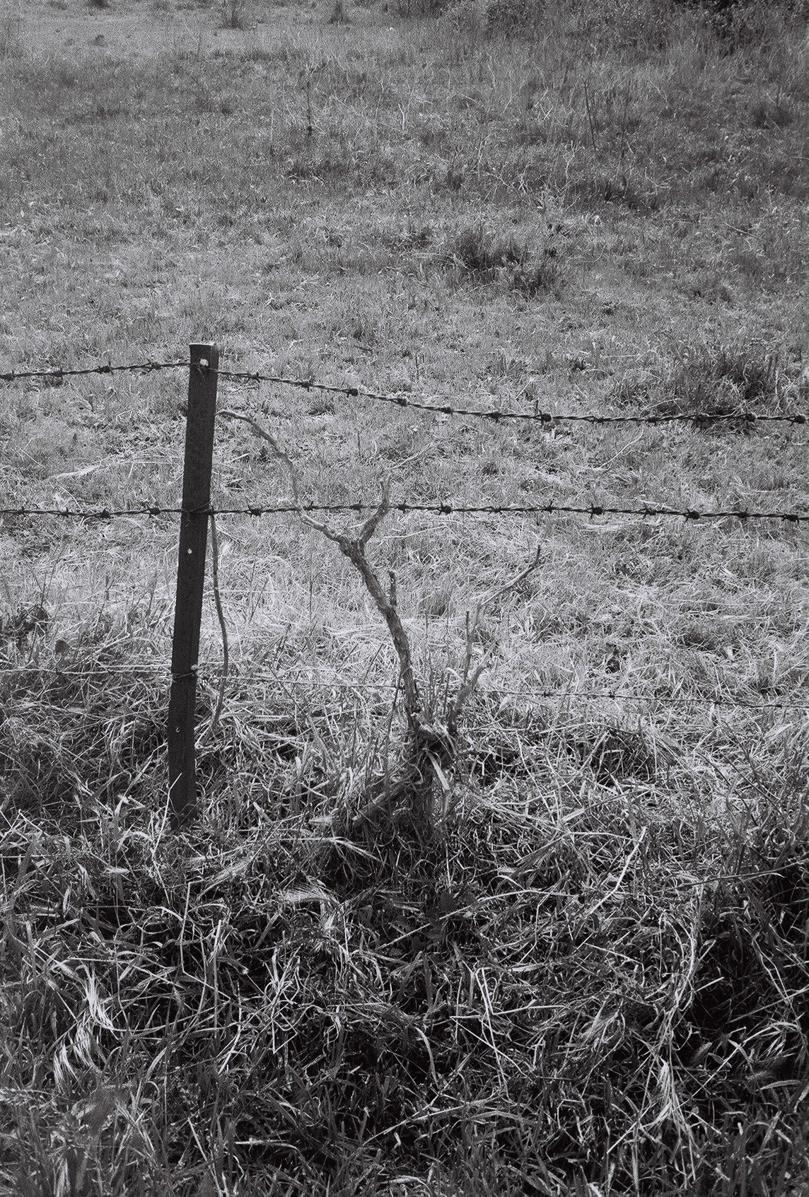 Pérols, France, 2019.