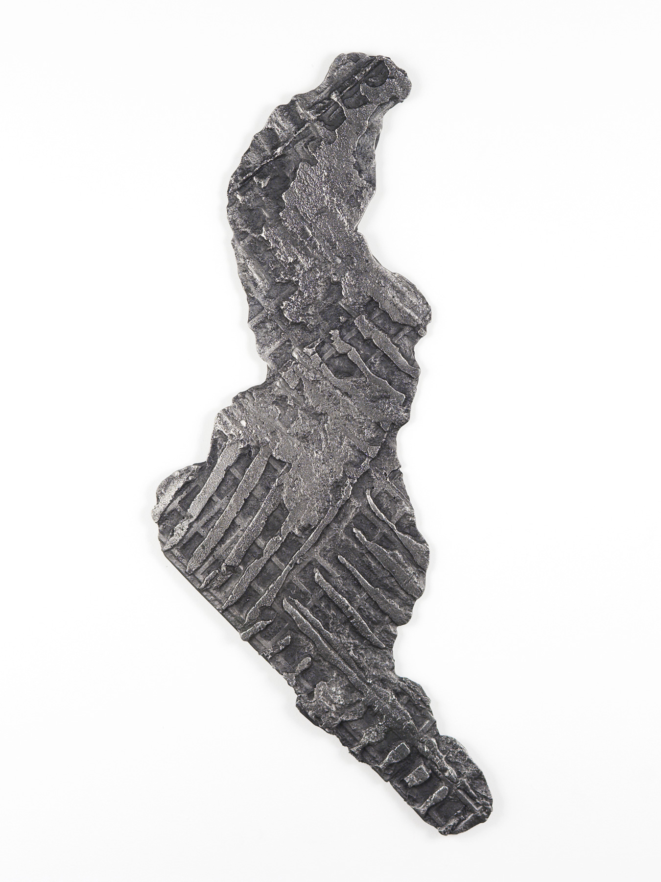 Mahon Way / Footpath Fossil / Stainless Steel / 500 x 260mm / 2021