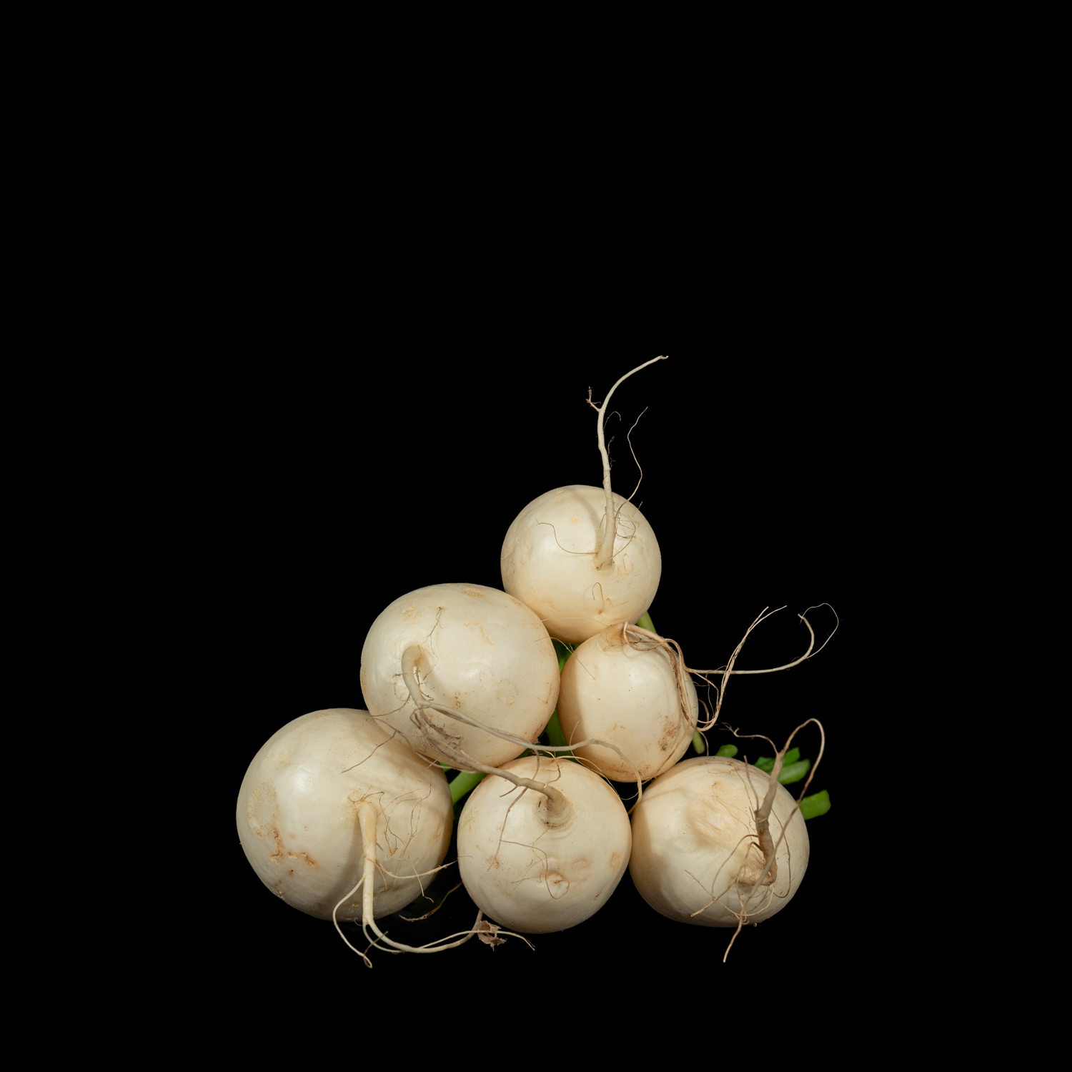 Turnips (Whitehall) (2023)