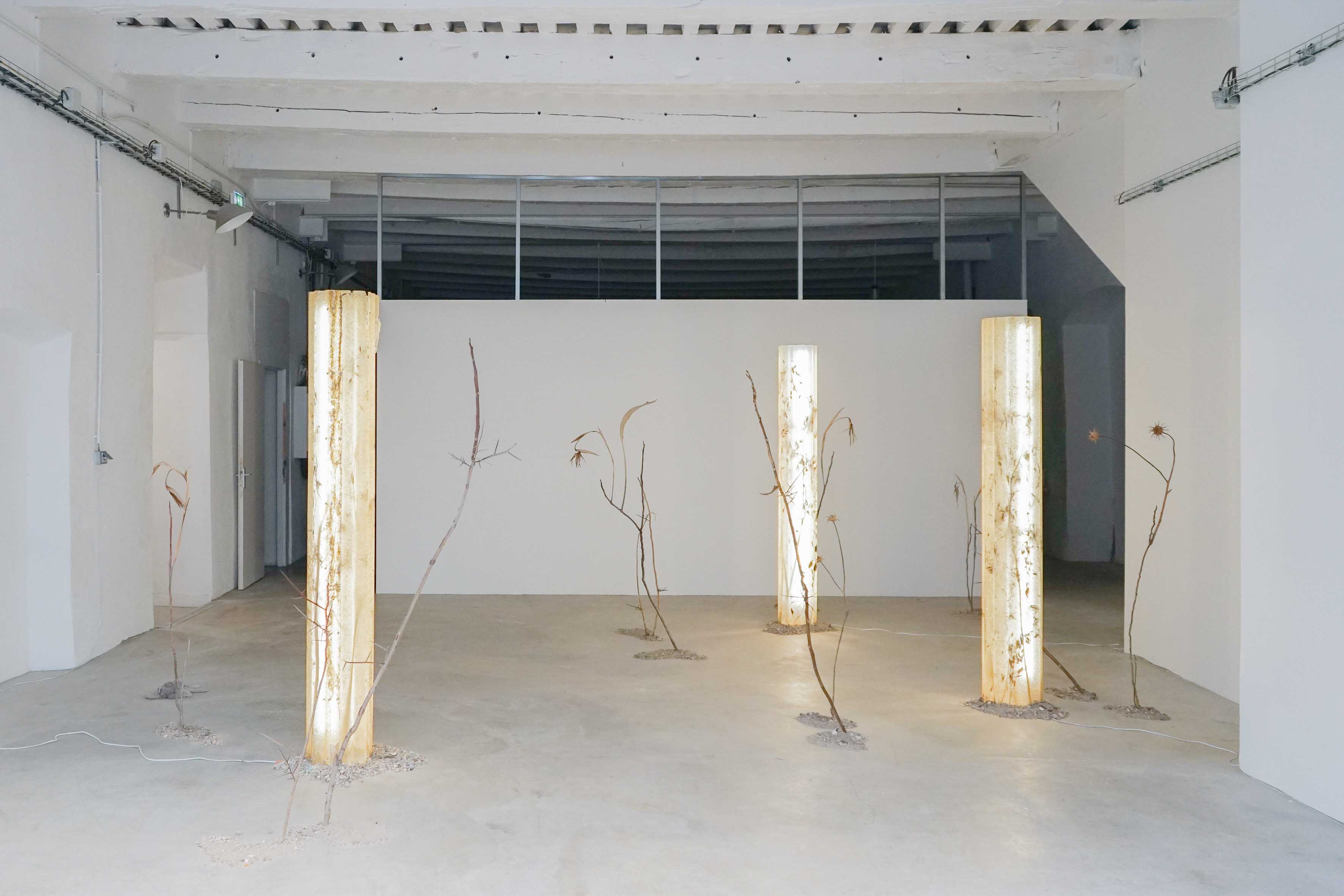 SLEEPING WITH LIGHTS ON by RYDER MOREY-WEALE at ATELIER VILLENEUVE [from 20240828 to 20240926] [Photo: Darius Dolatyari-Dolatdoust]