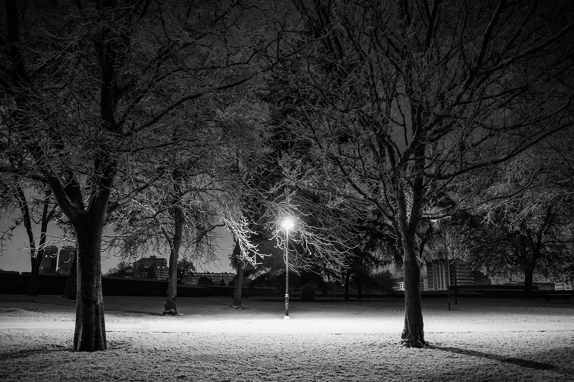 Lamppost in a snowy park Pamplona, Spain, 2023photography, bw, single