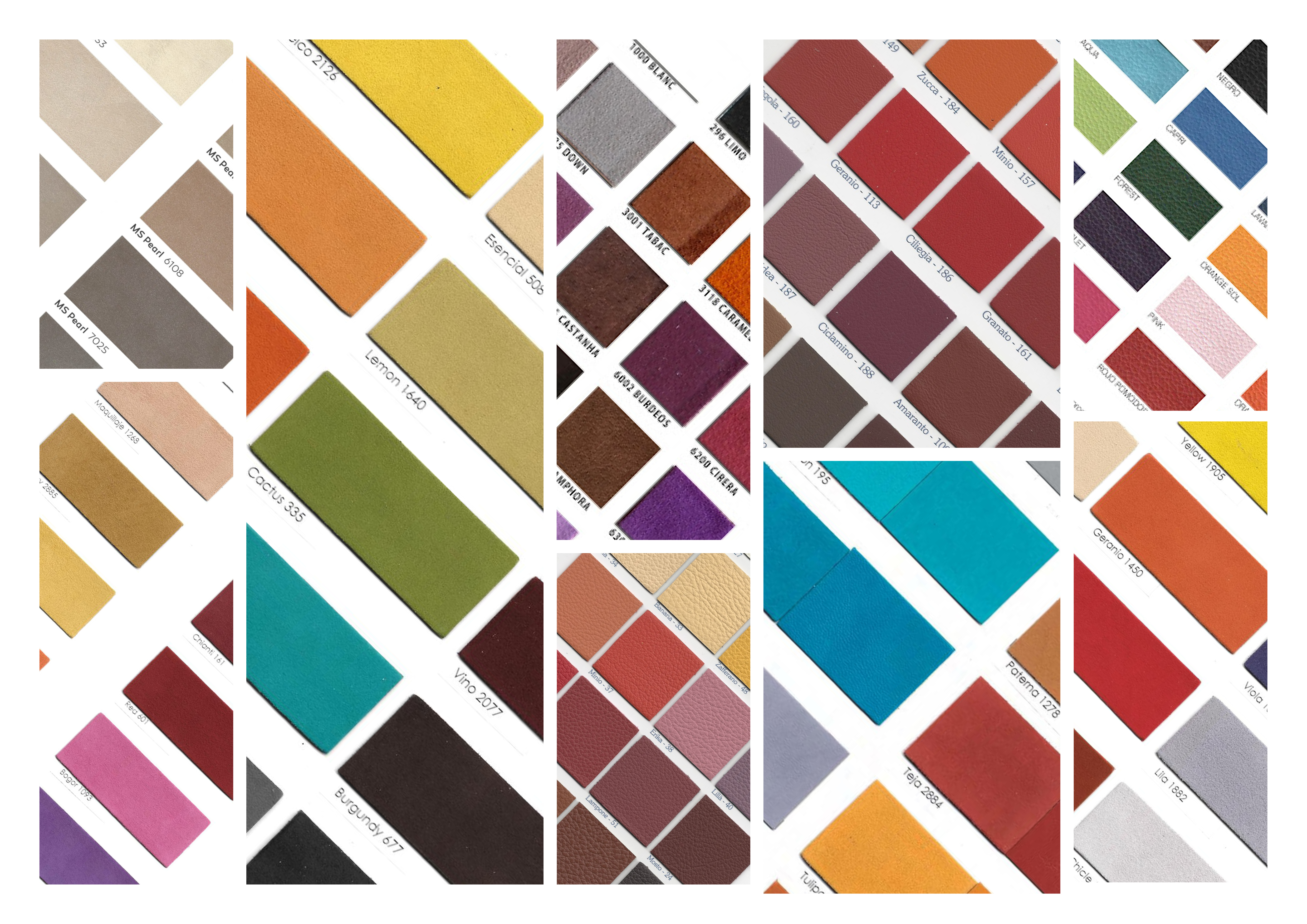 The material: disregarded and obsolete leather color cards