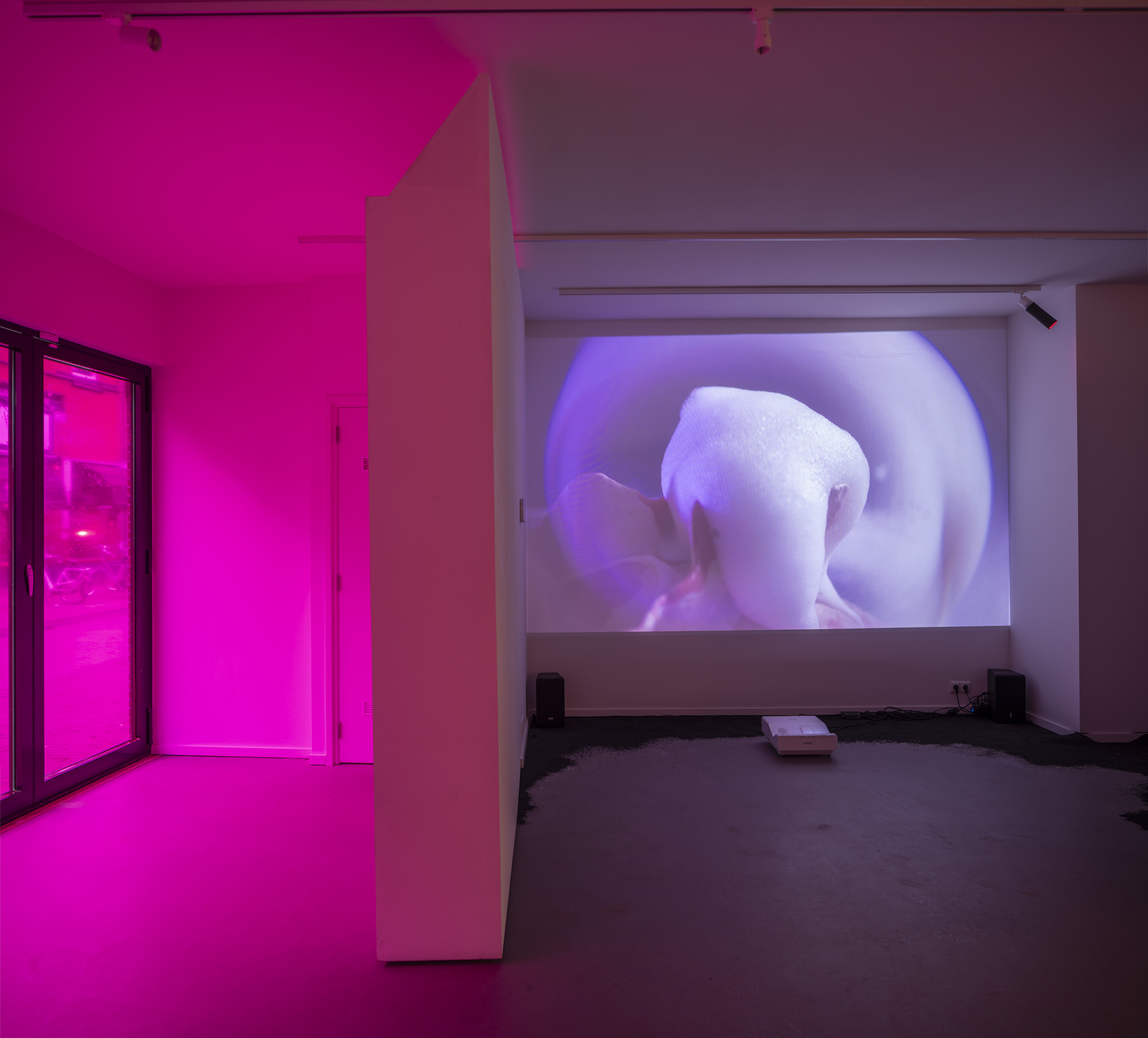 Jun Zhang, 2024, foto door Harry Cock