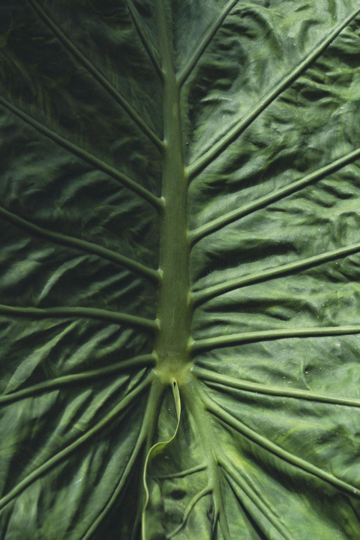 REPORTAGE PHOTO/VIDEO