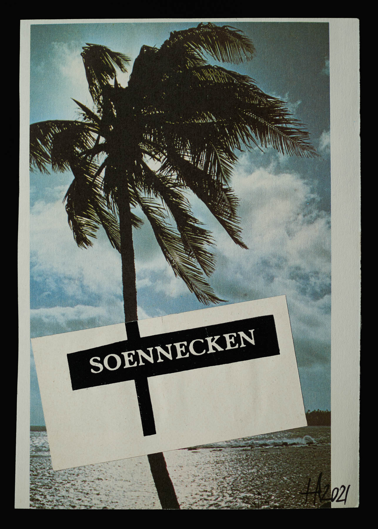 palm tree soennecken
