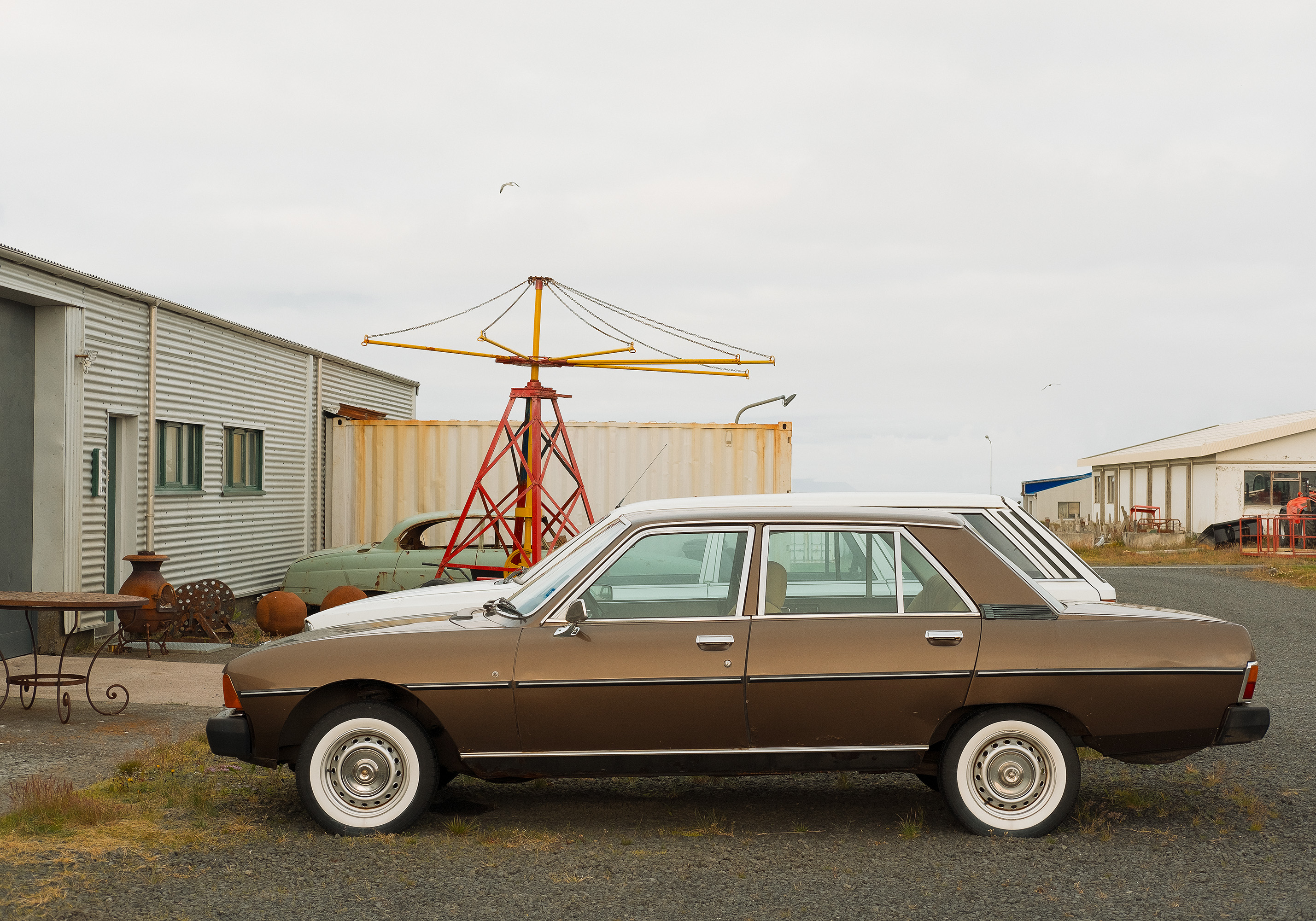 Domingo Nardulli TIFF