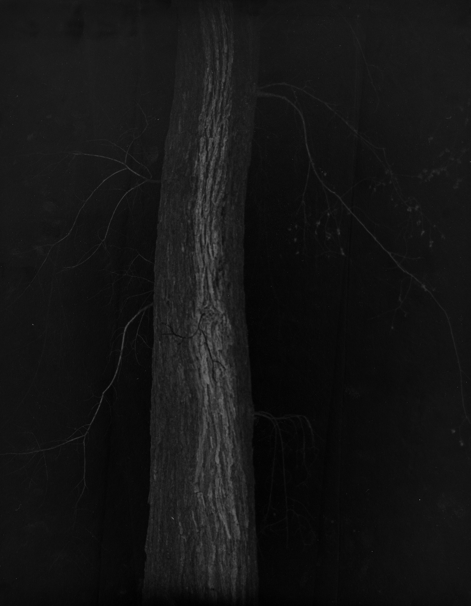 Electricity