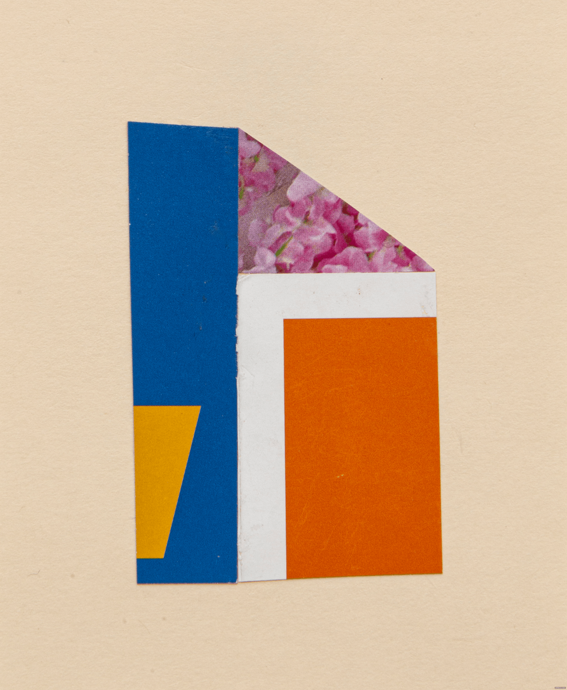 Coming Soon: Chad Kouri