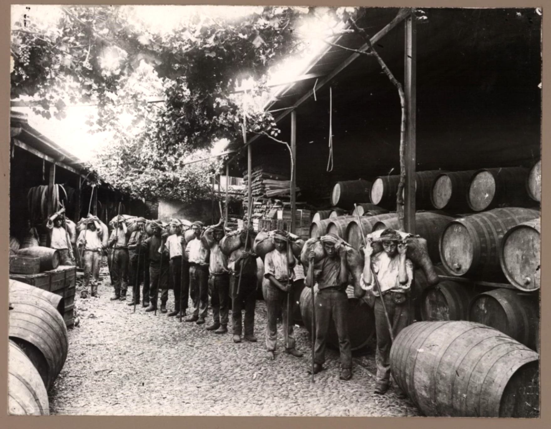 "Borracheiros", 2022