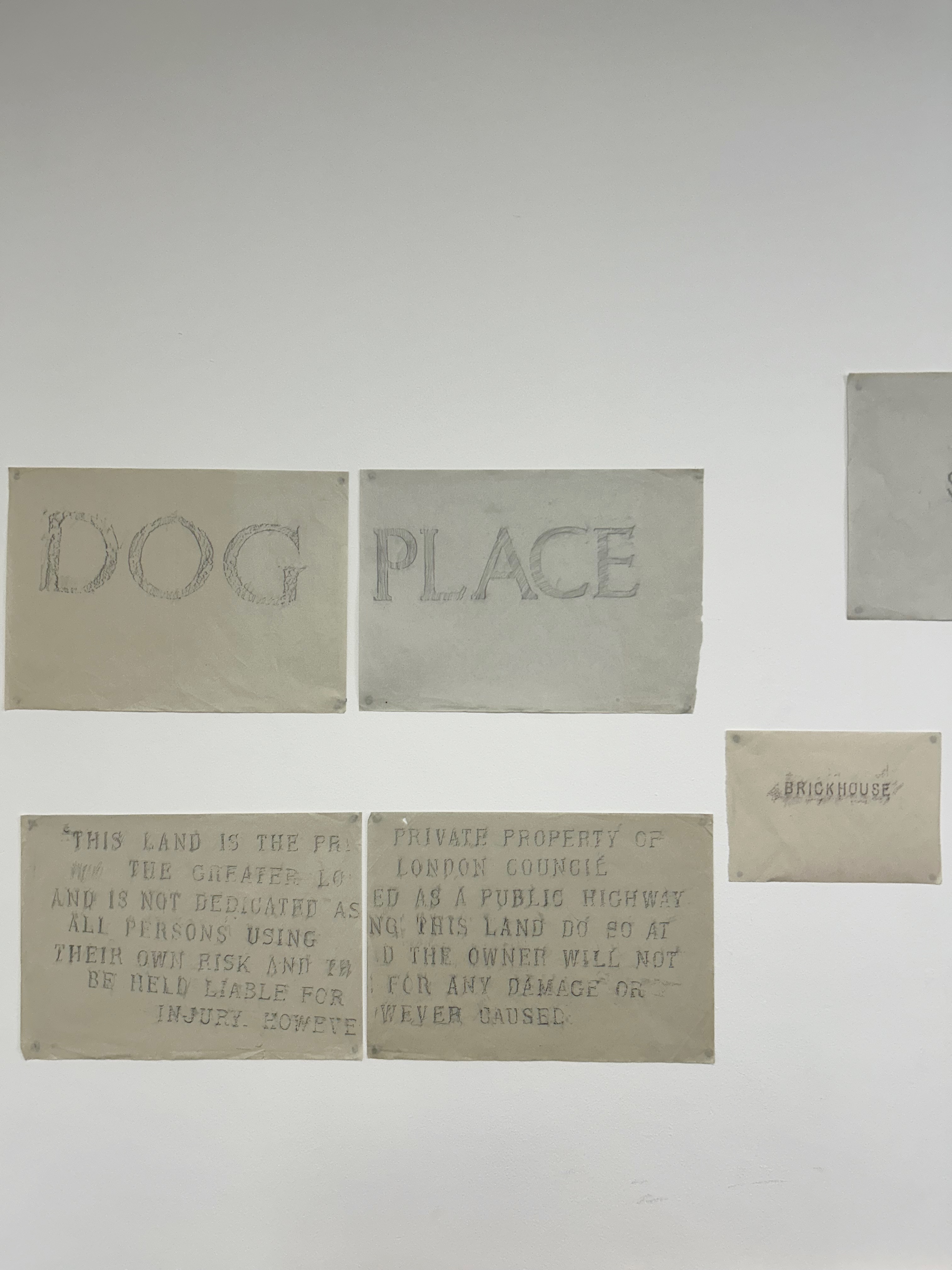 DOG PLACE (2024)