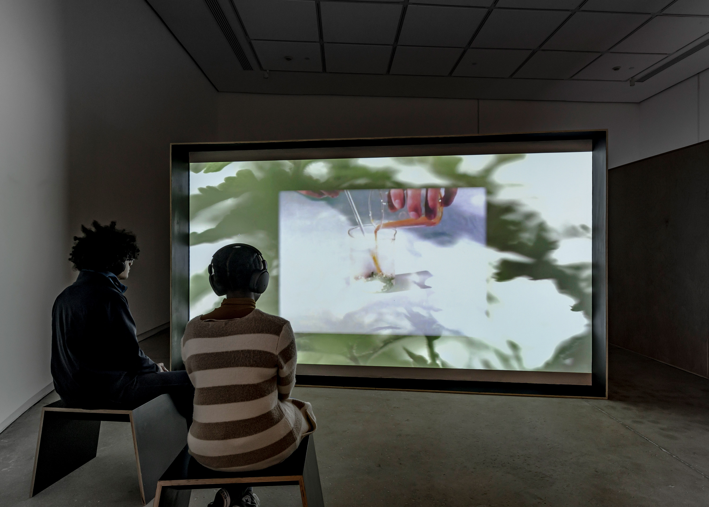 2019  |  Two or Three Saprophytes