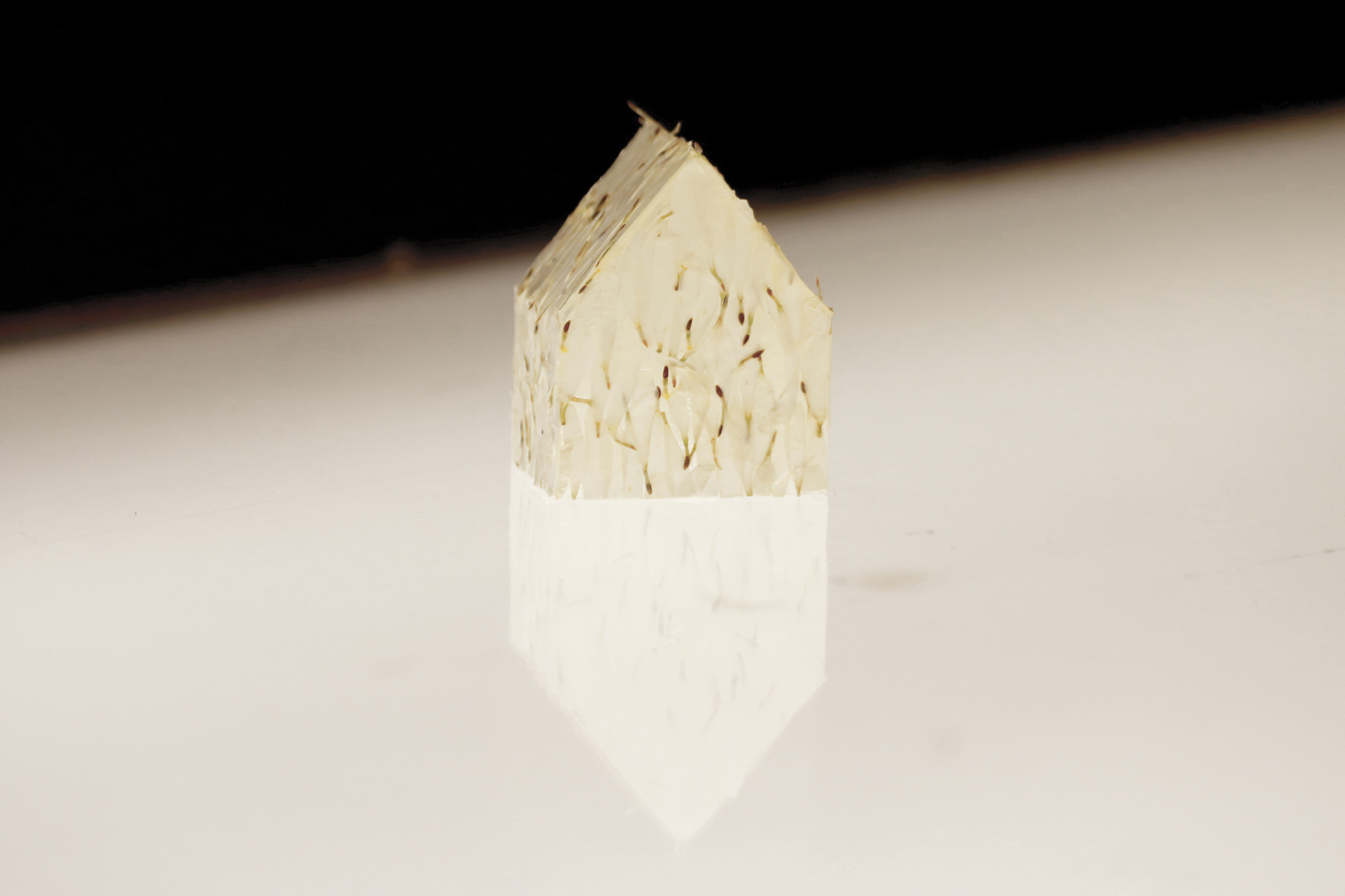 Y&ouml;t&ouml;n Y&ouml;, Dennise Vaccarello, 2025.