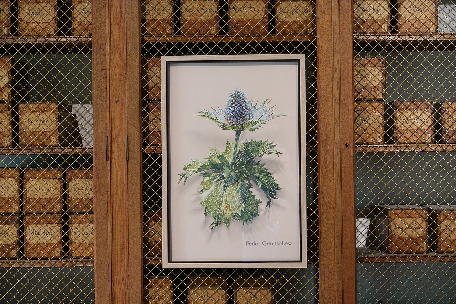 © CD92 C. Bergy, Oeuvre de l'artiste 1011 dans la salle des Plaques