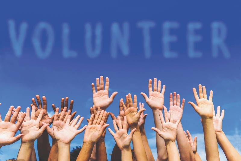 Volunteer/Intern - The Scheherazade Project