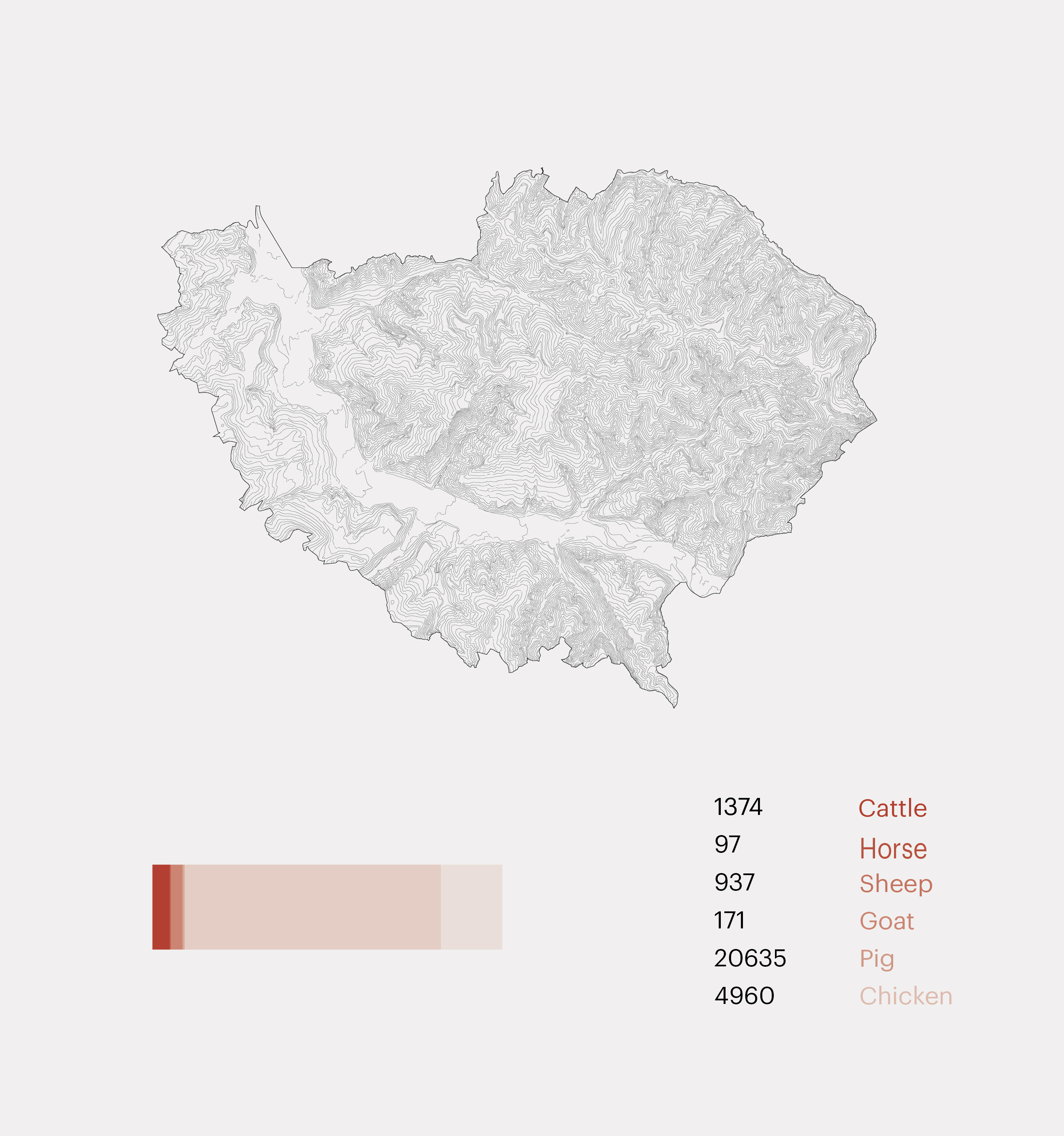 Bauma, number of livestock.