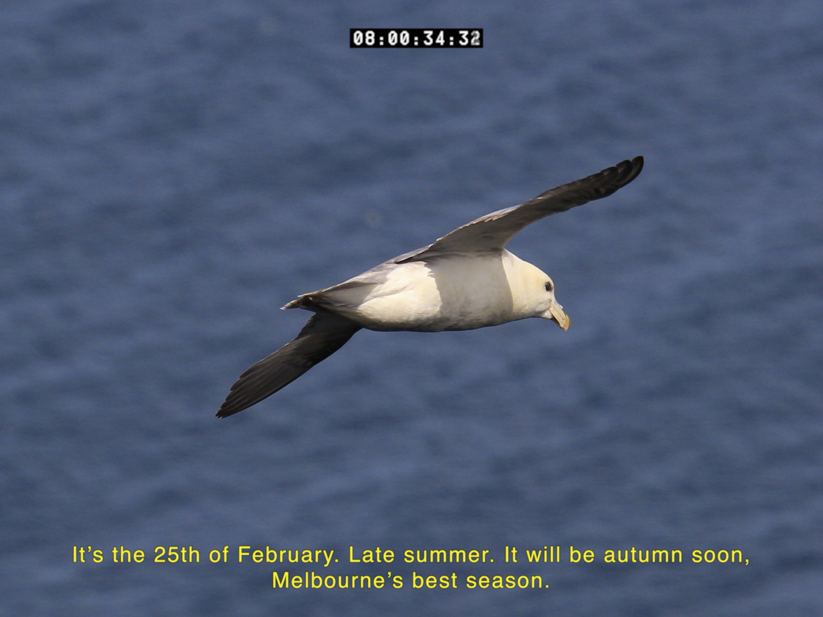 'Deep Time Real Time', Design Hub Gallery, 2025, video still