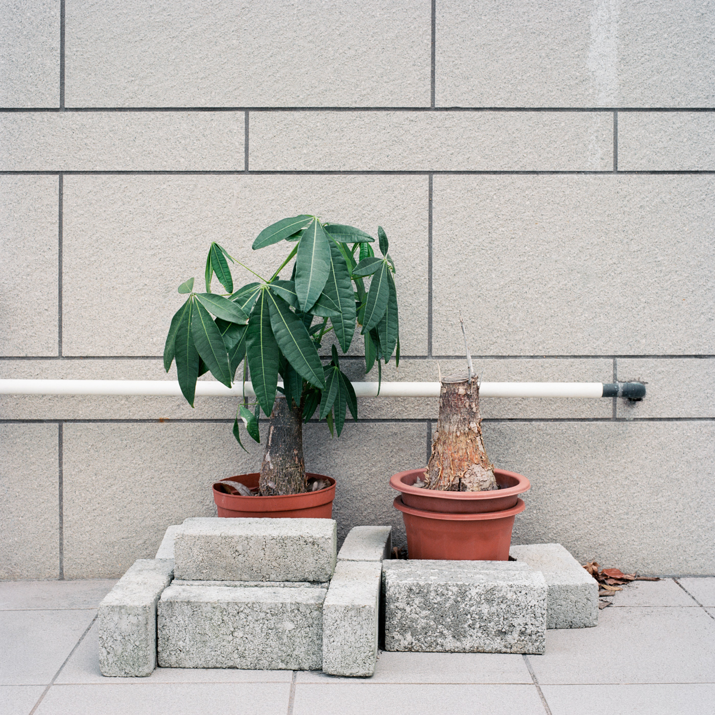 Hong Kong Village VI, 2014