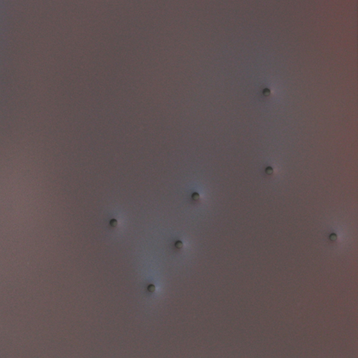 kleifontanano #26, 2003, oil on aluminum with gunshot, 22x22 in