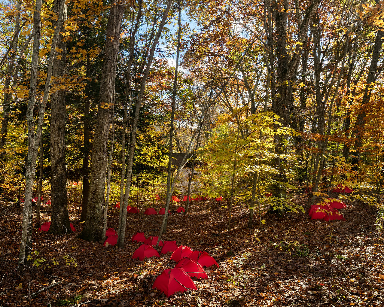 Tent Field: Contested Territory, 2019. 42 Social Club, Lyme, CT. Tent Field: Contested Territory, 2019, is an installation designed specifically for the 42 Social Club location in Lyme, Connecticut. On this site embedded with the histories of the Pequot tribal people and the arrival of the English colonists, the tents populate the woods and act as mute interrogators of the invisible histories of the land. The ground becomes content. Courtesy of the artist.