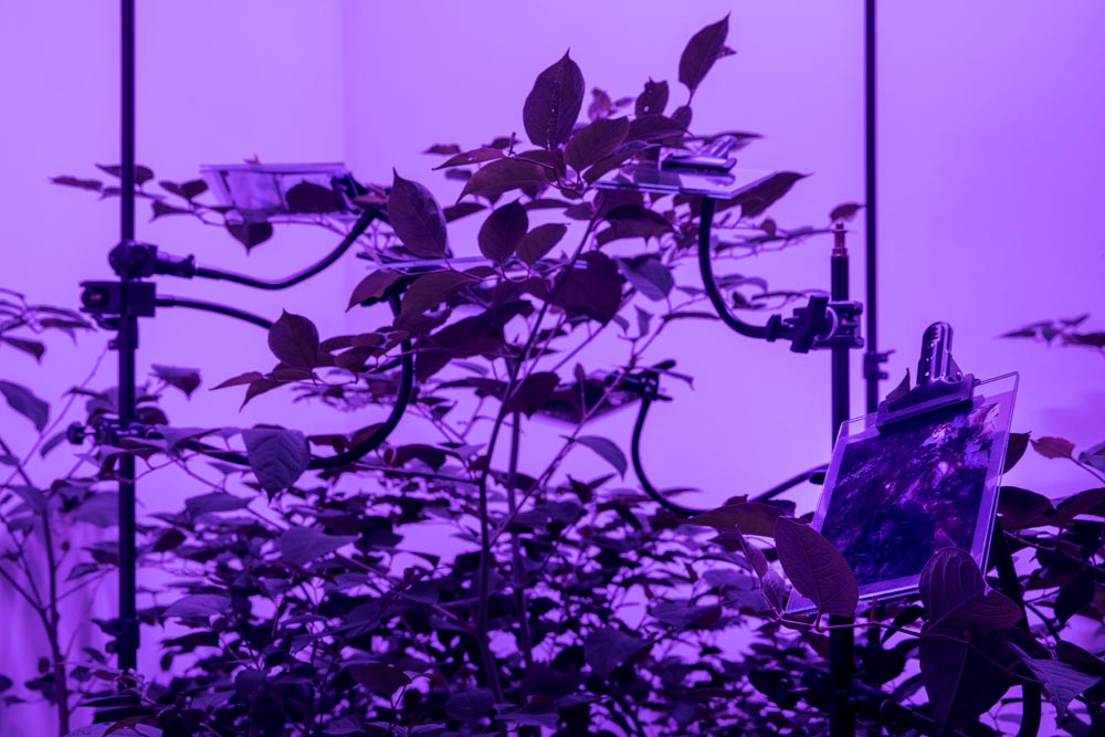 2.5 Not In My Backyard