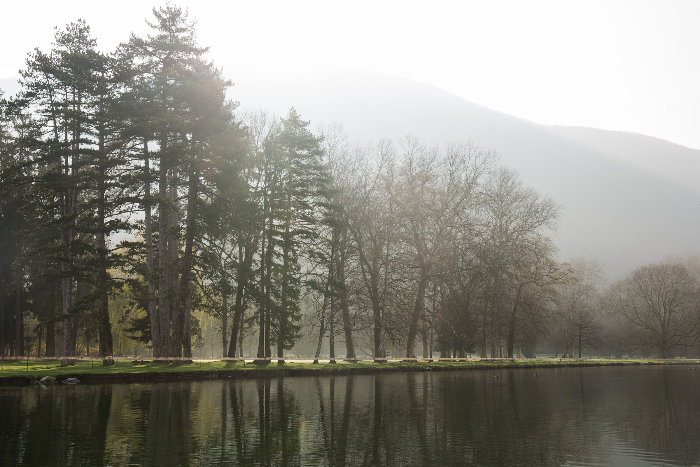 Filigrane, Vizille, collaboration Lis & Daneau Architectes et Maxime Lis