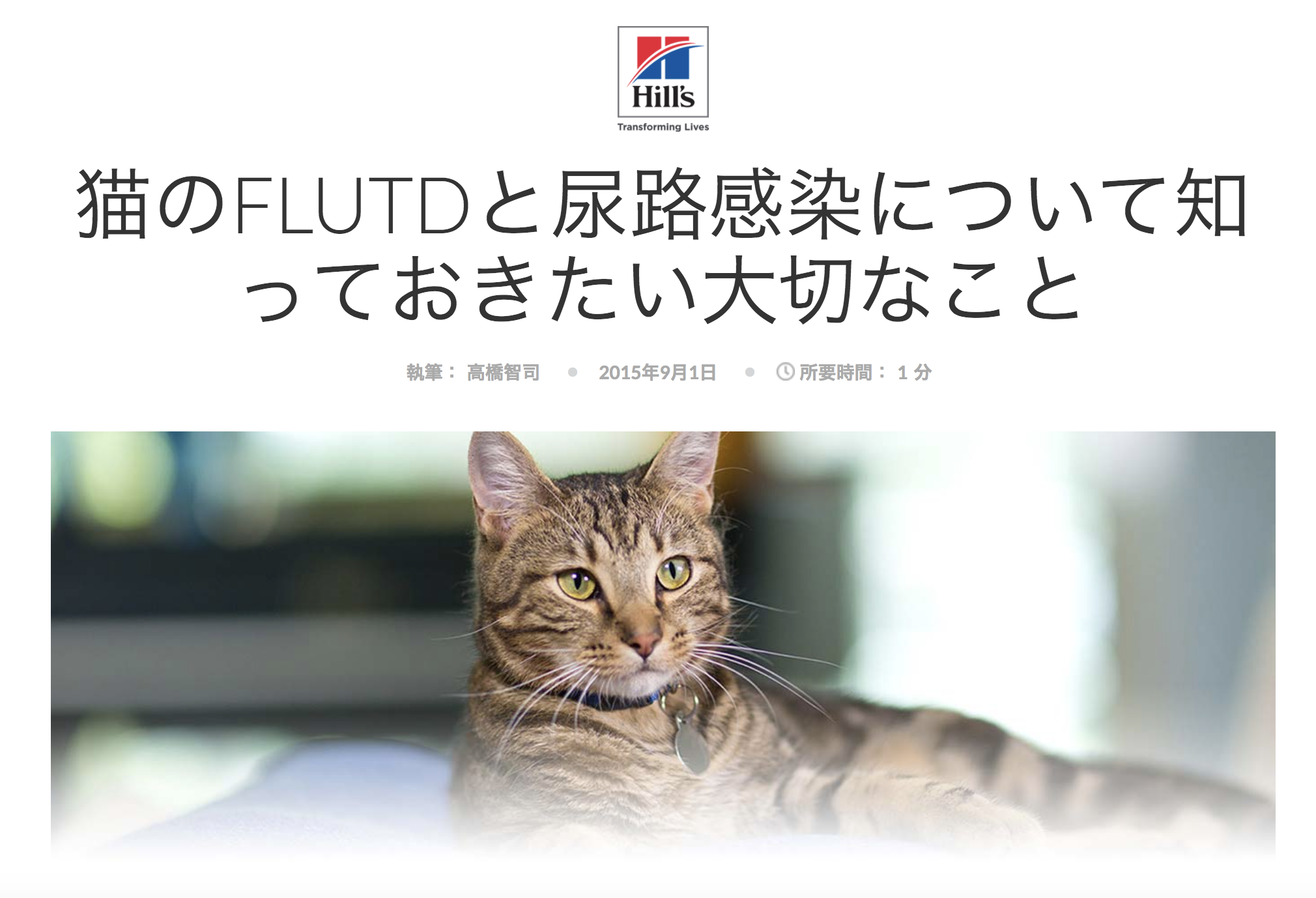 Important Information on FLUTD: Click to read