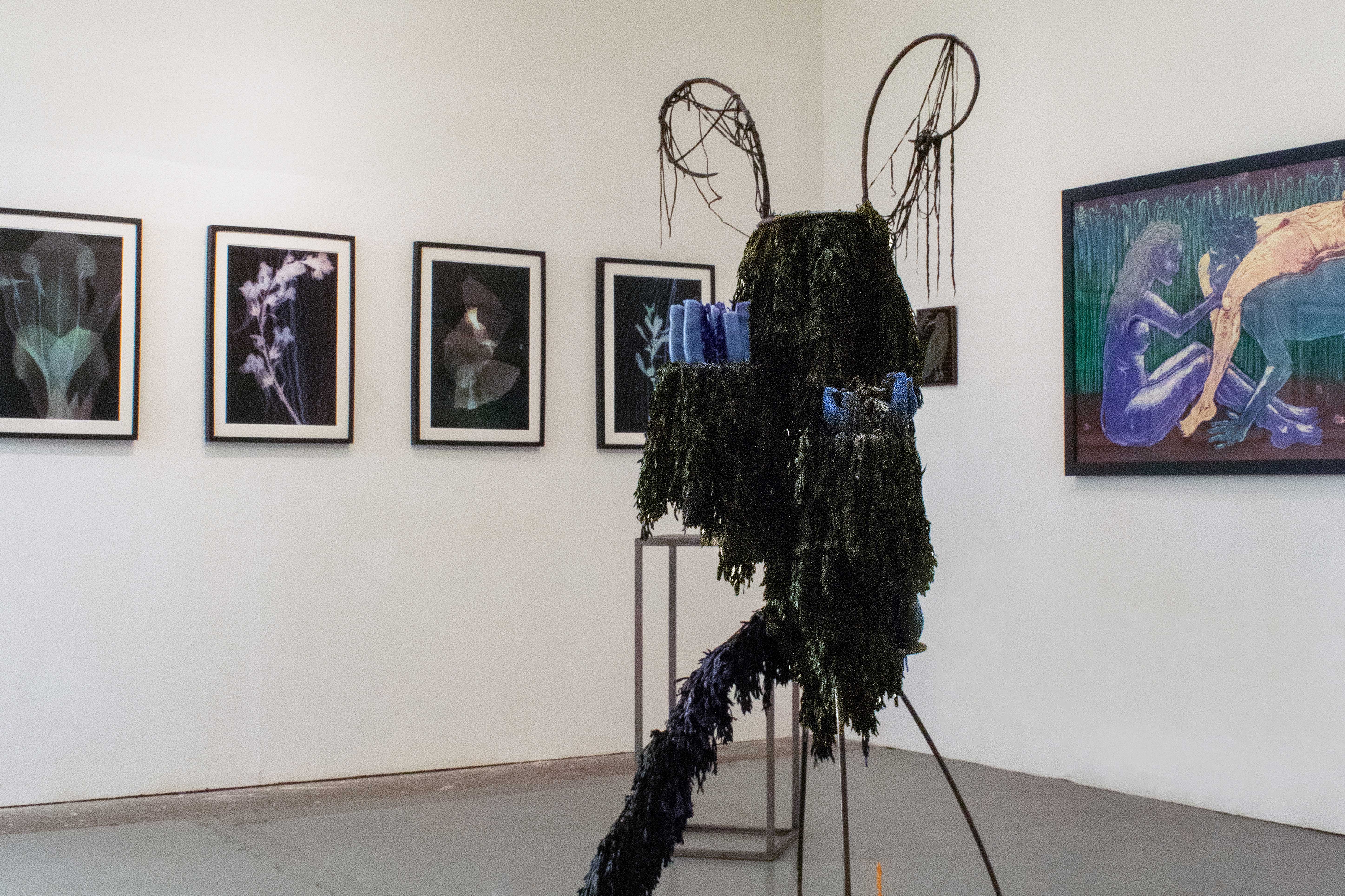 Arietis Sisters and the Sun, 2024