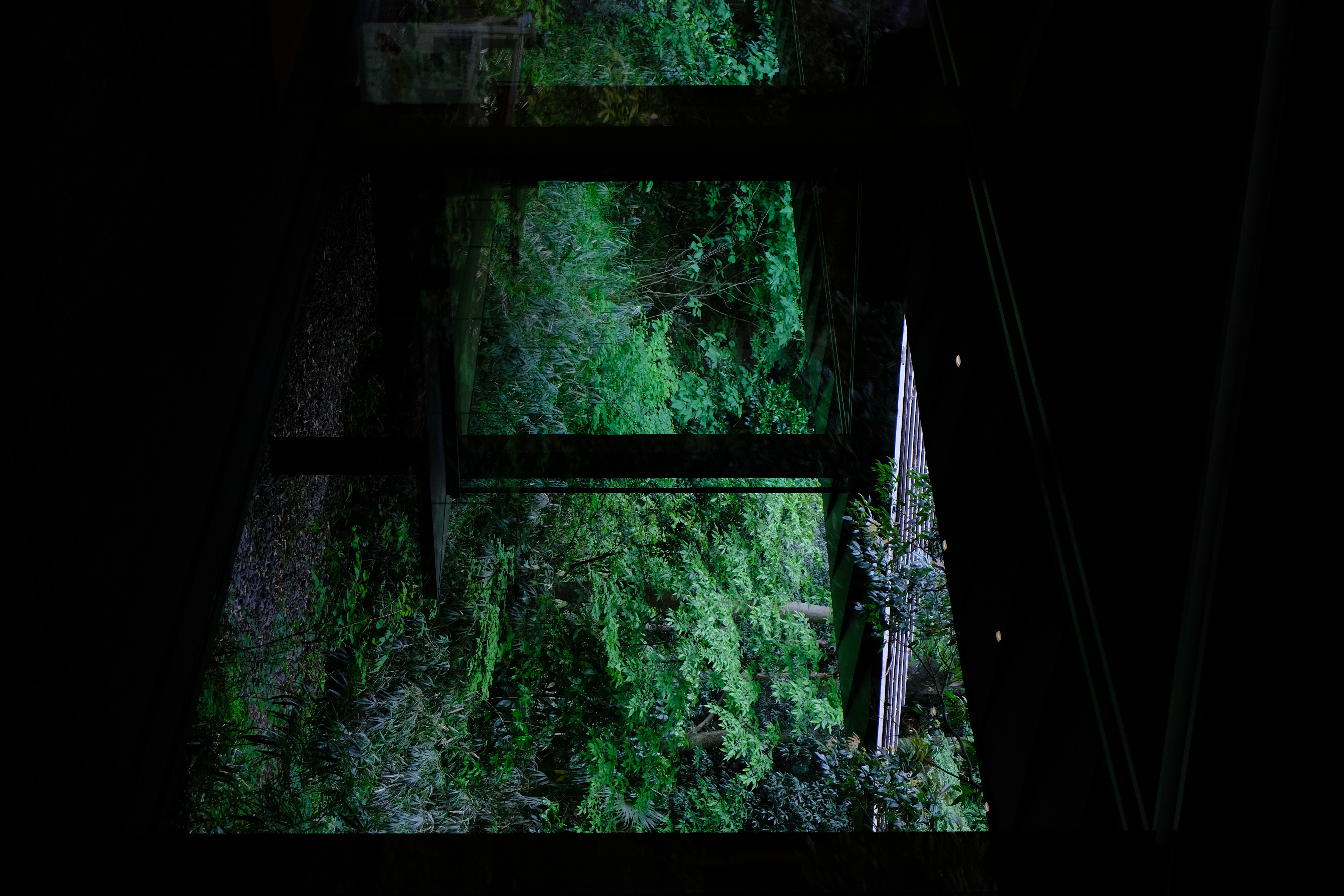 Meiji Jingu museum, 2023